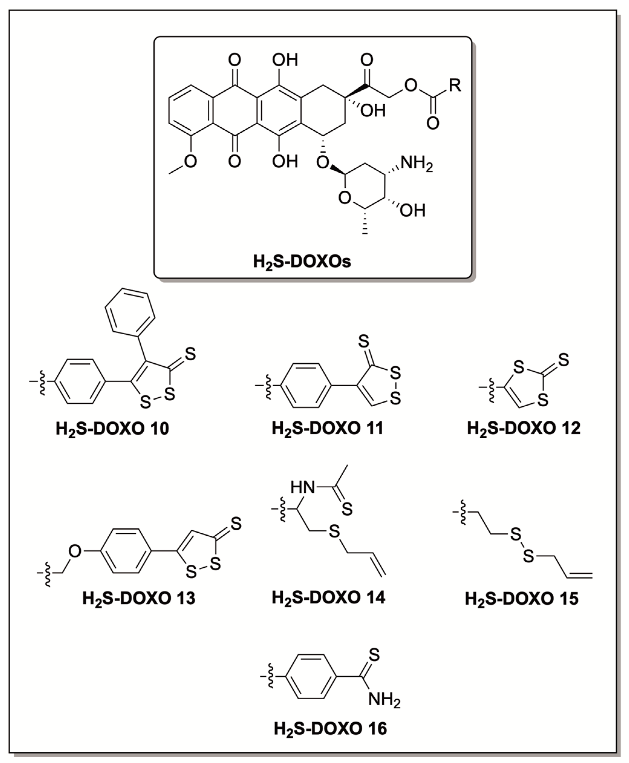 Antioxidants Free Full Text H2s Donors With Cytoprotective Effects