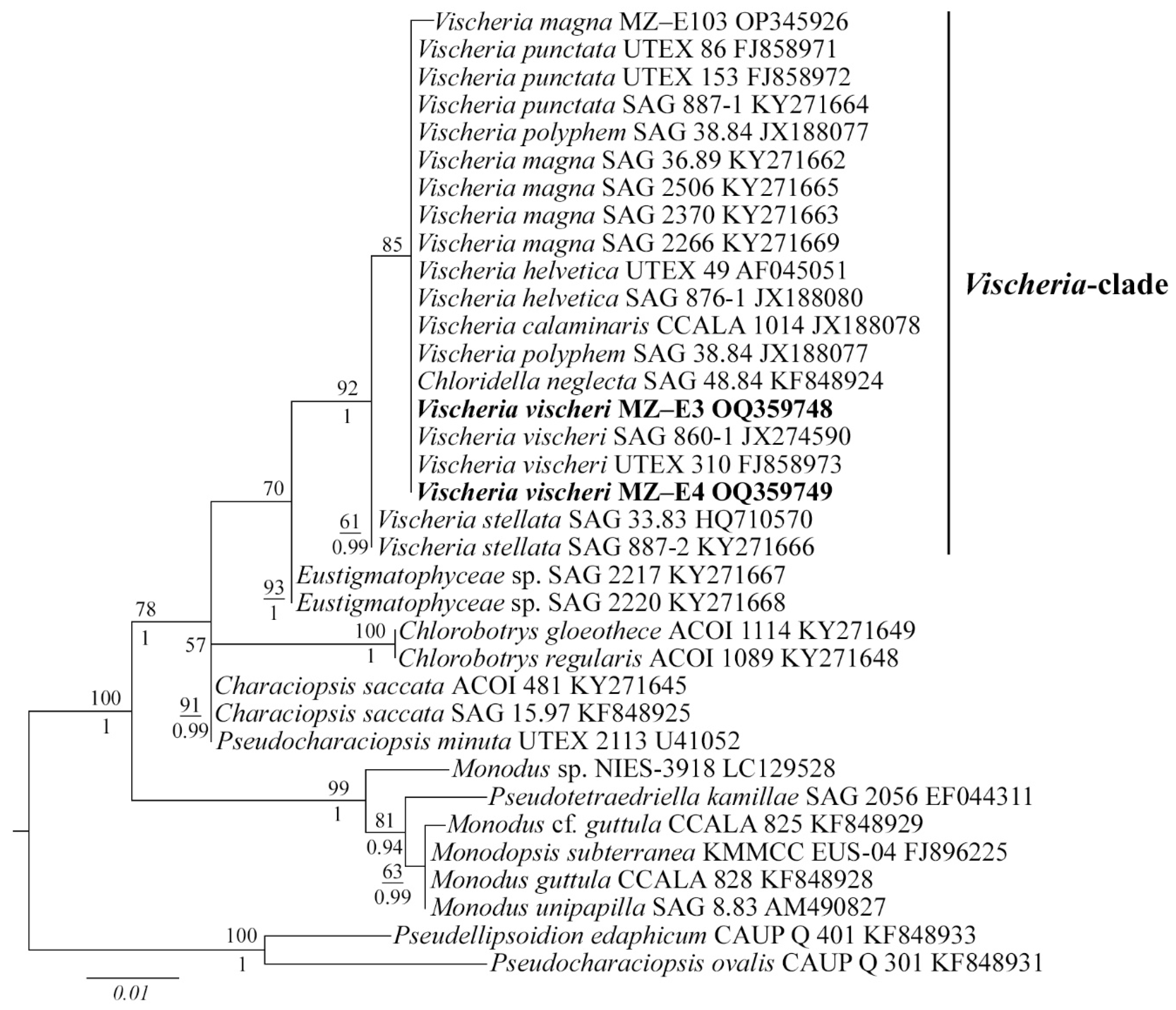 Antioxidants 12 00654 g002