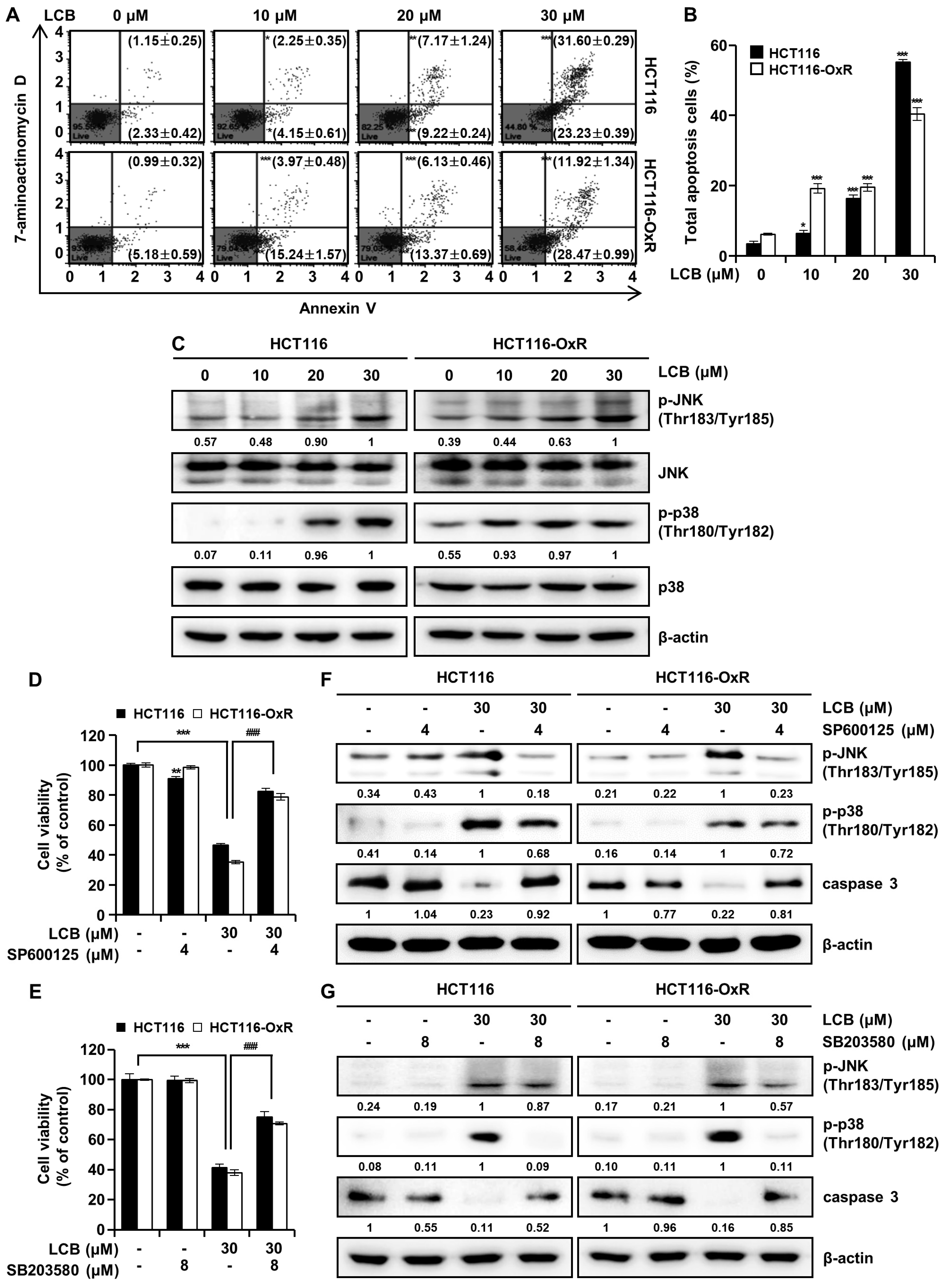 Antioxidants 12 00656 g002
