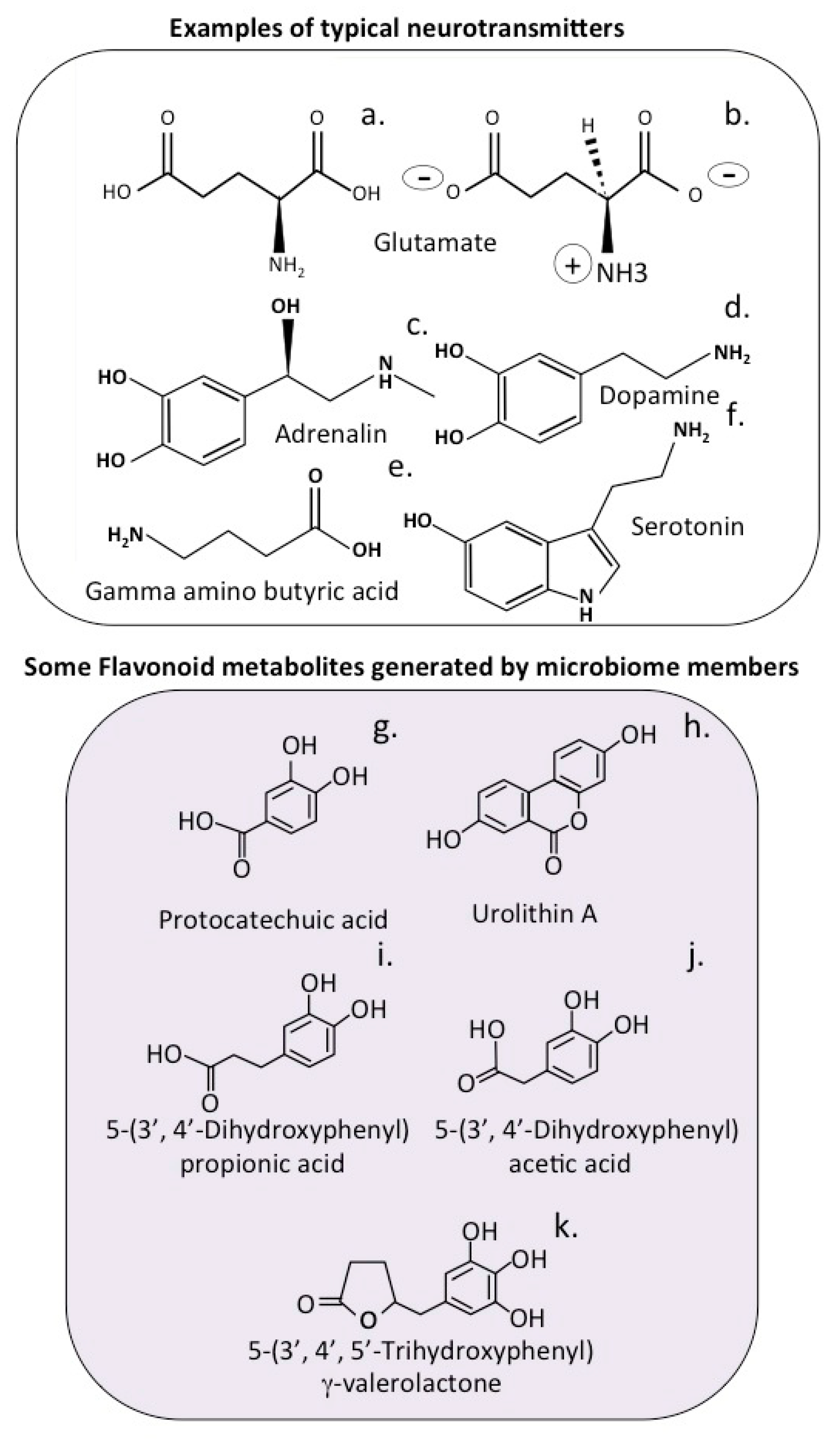 Antioxidants 12 00663 g003 Antioxidants 12 00663 g003