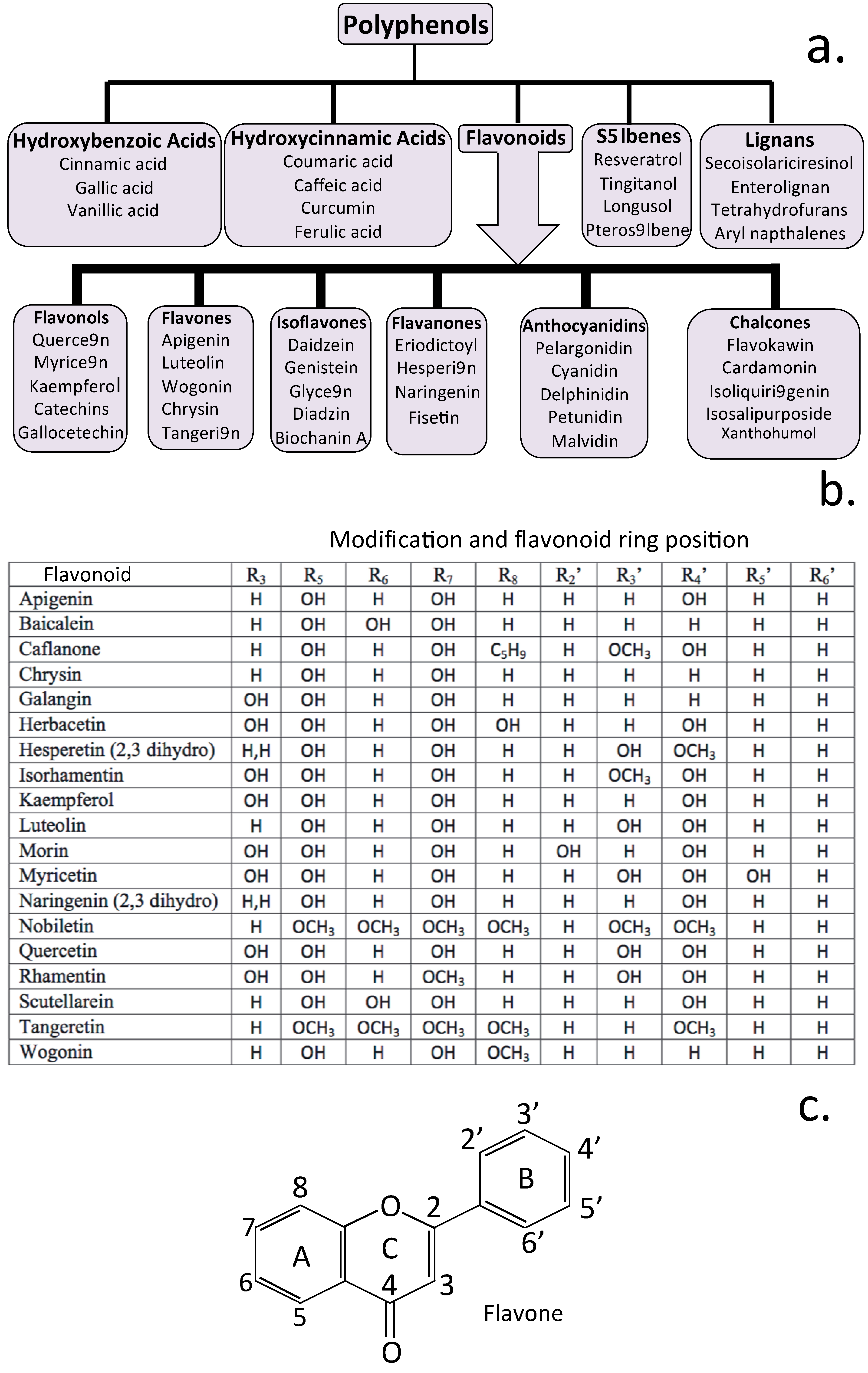 Antioxidants 12 00663 g004 Antioxidants 12 00663 g004