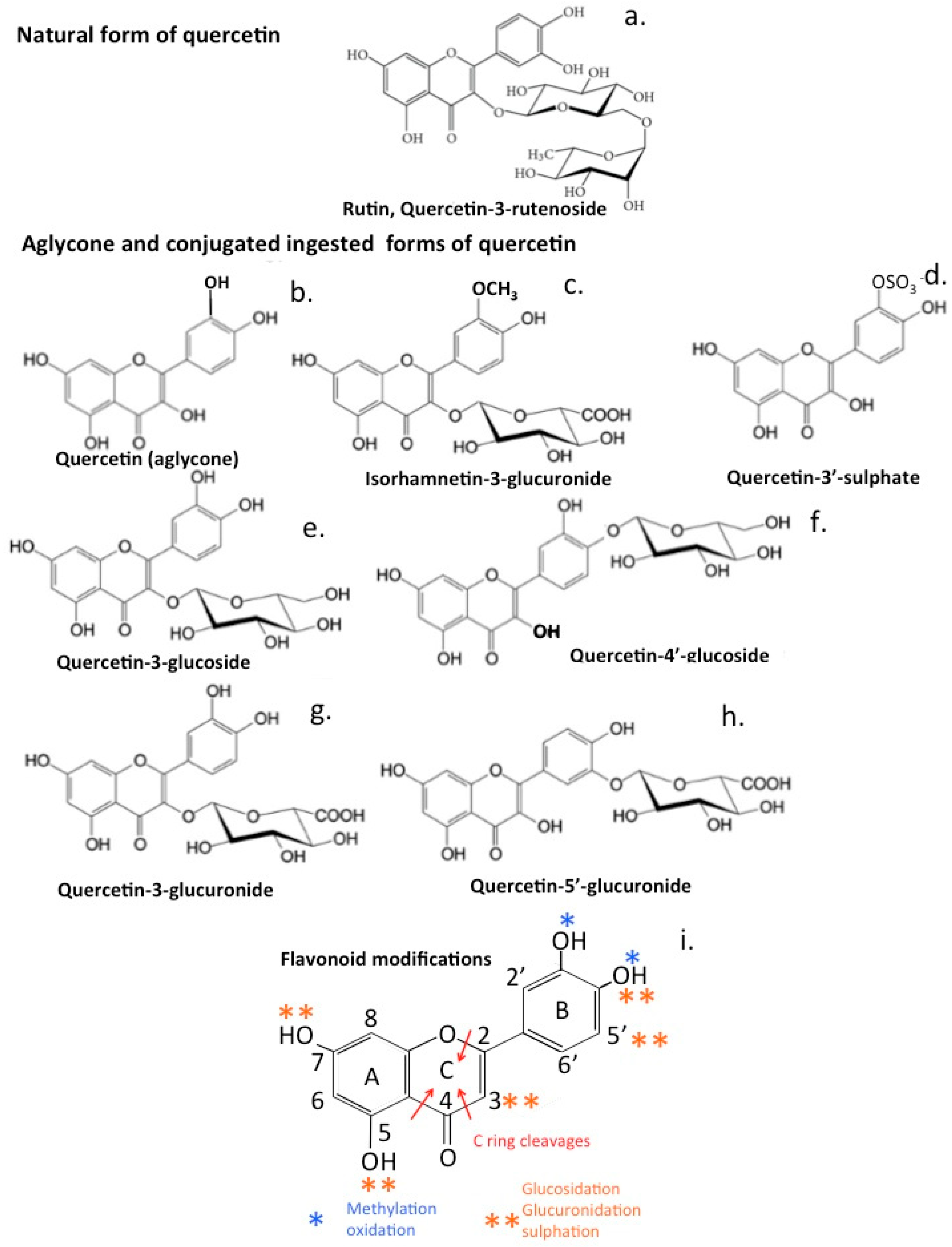 Antioxidants 12 00663 g005 Antioxidants 12 00663 g005