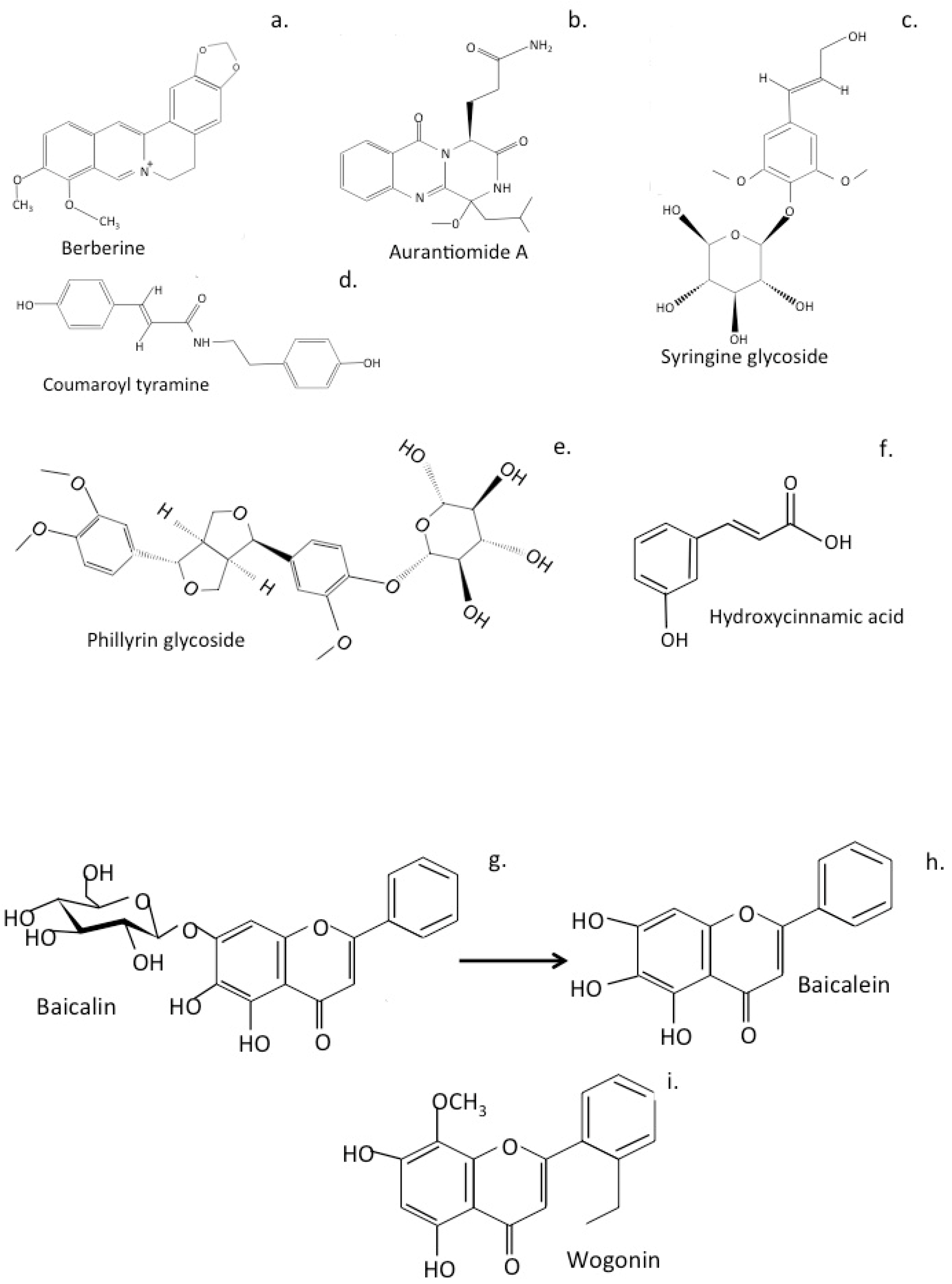 Antioxidants 12 00663 g006 Antioxidants 12 00663 g006