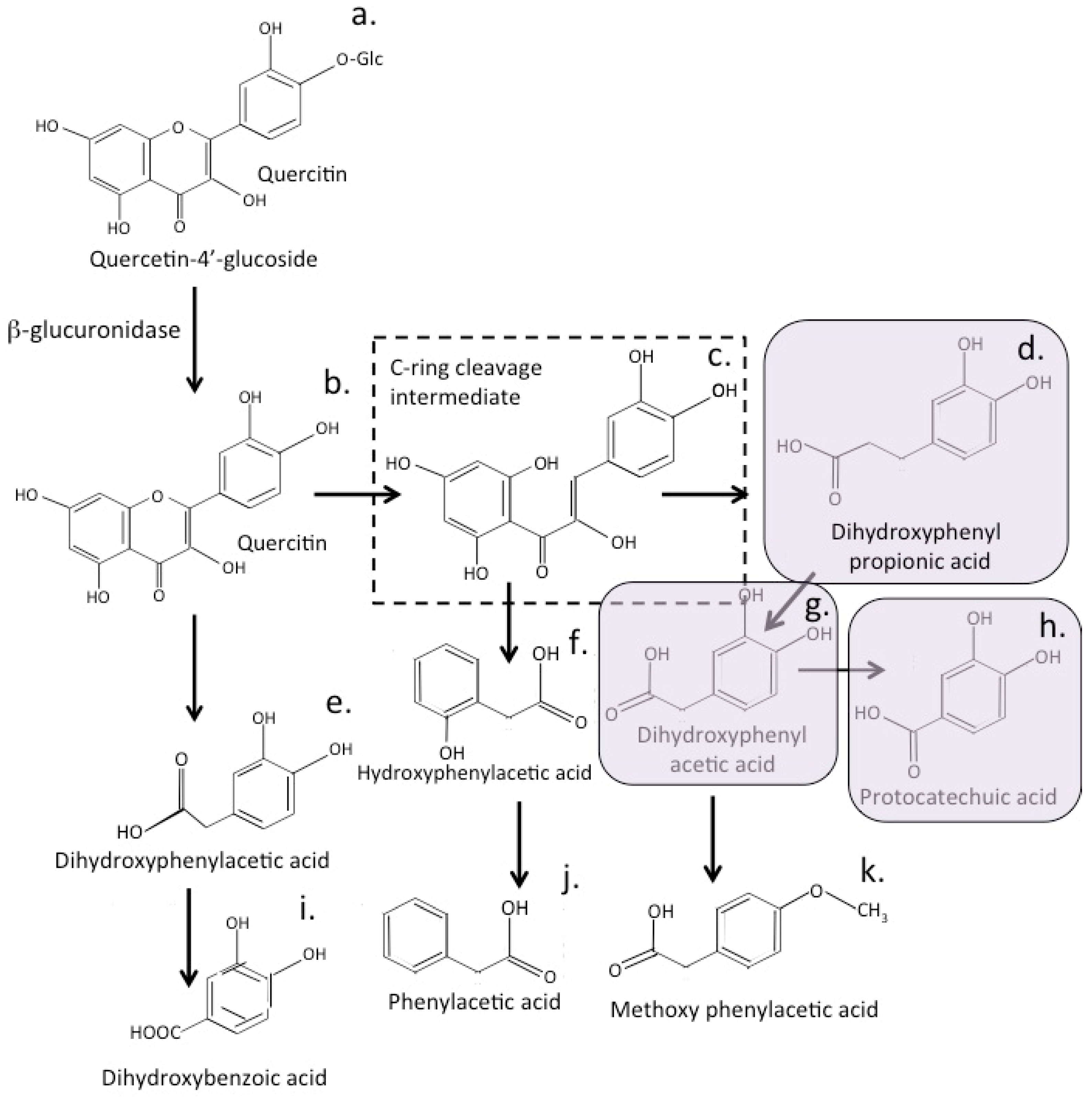Antioxidants 12 00663 g010 Antioxidants 12 00663 g010