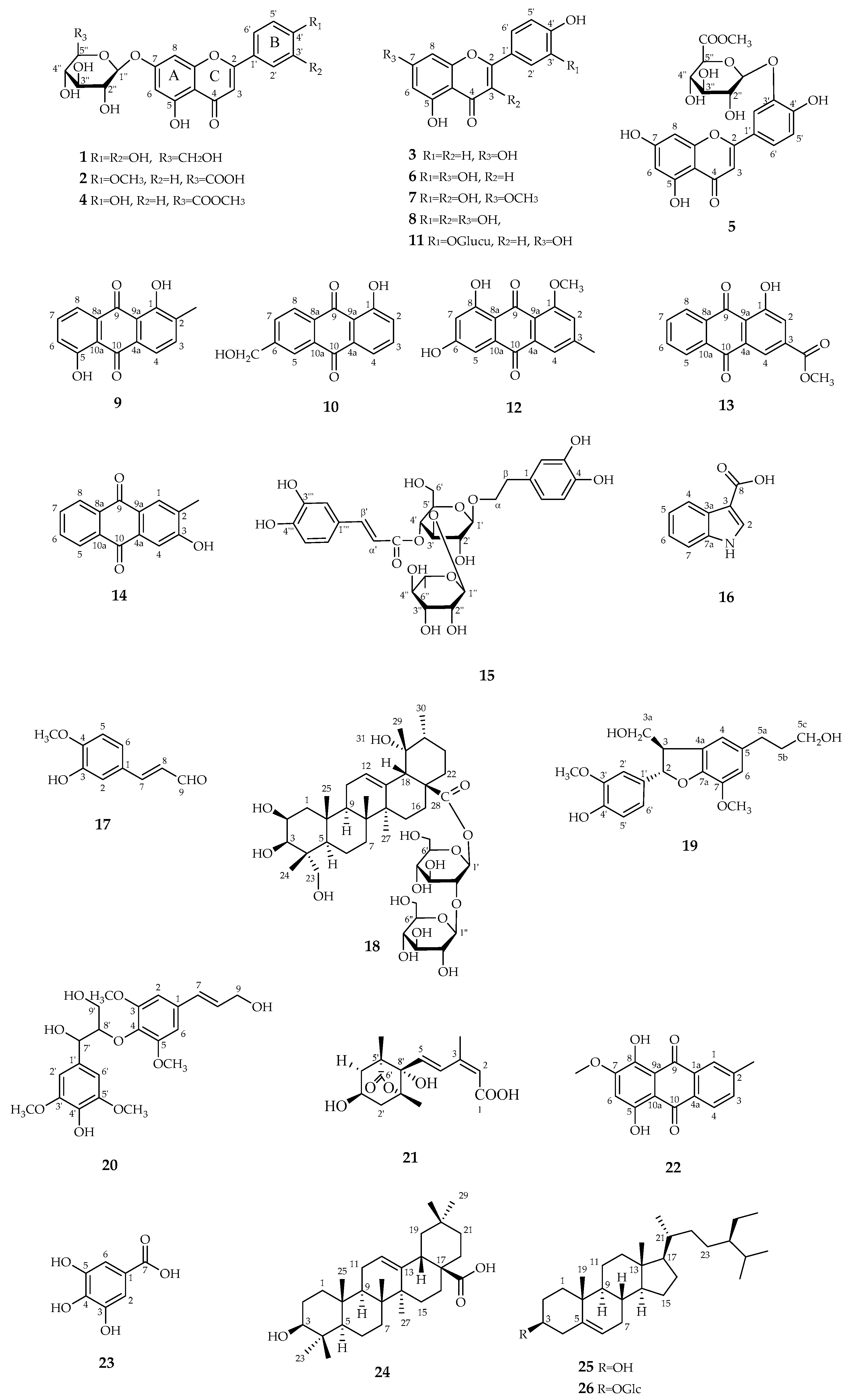 Antioxidants 12 00664 g001 Antioxidants 12 00664 g001