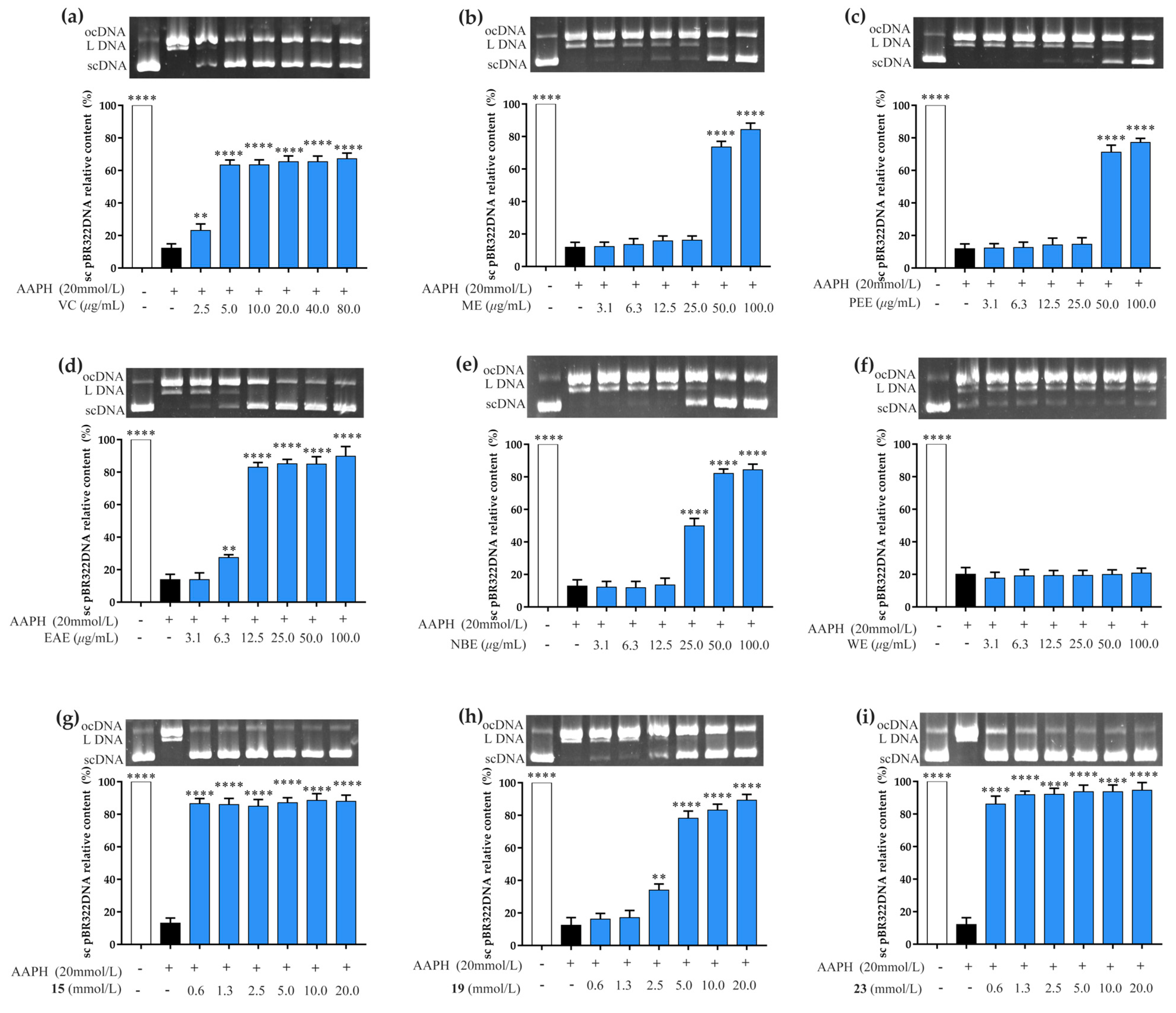 Antioxidants 12 00664 g003 Antioxidants 12 00664 g003