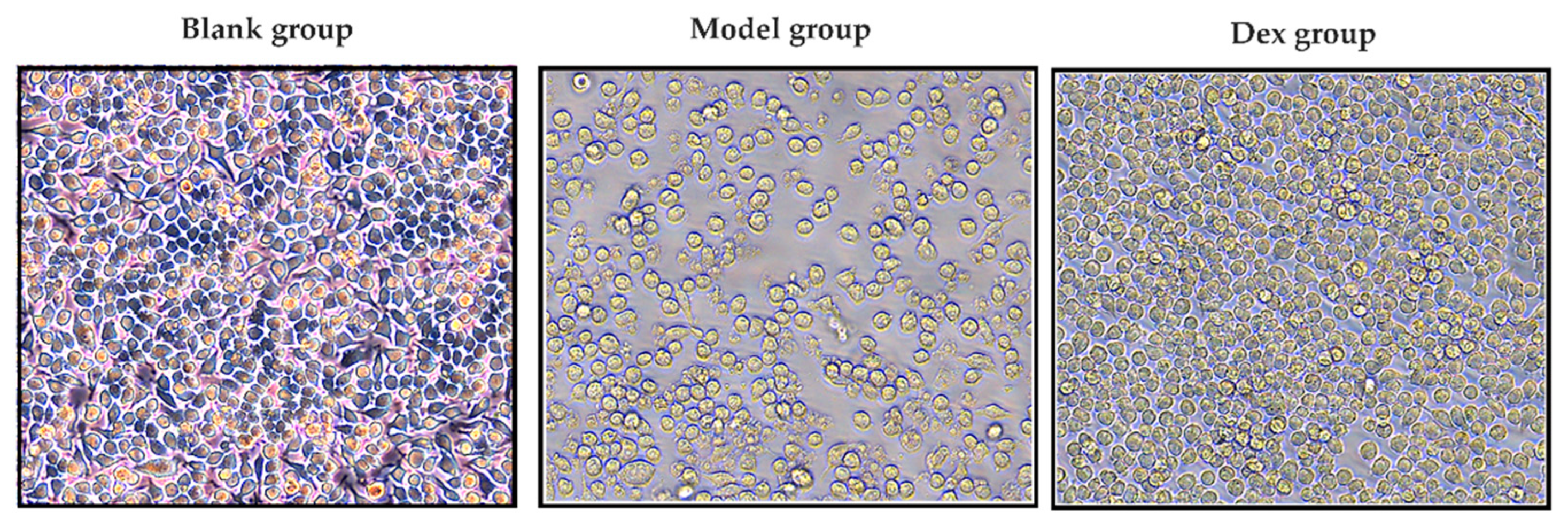 Antioxidants 12 00664 g005 Antioxidants 12 00664 g005