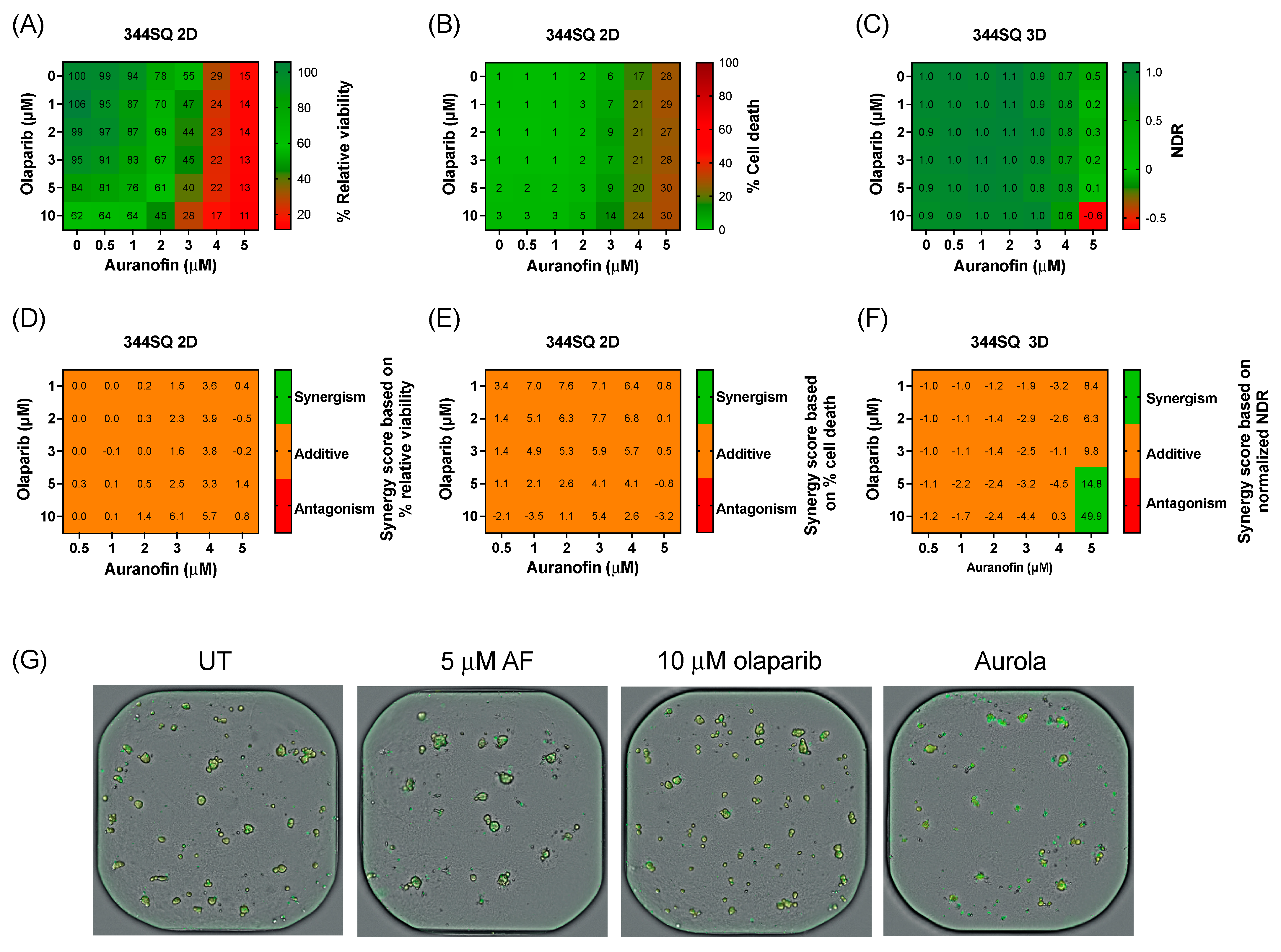 Antioxidants 12 00667 g004