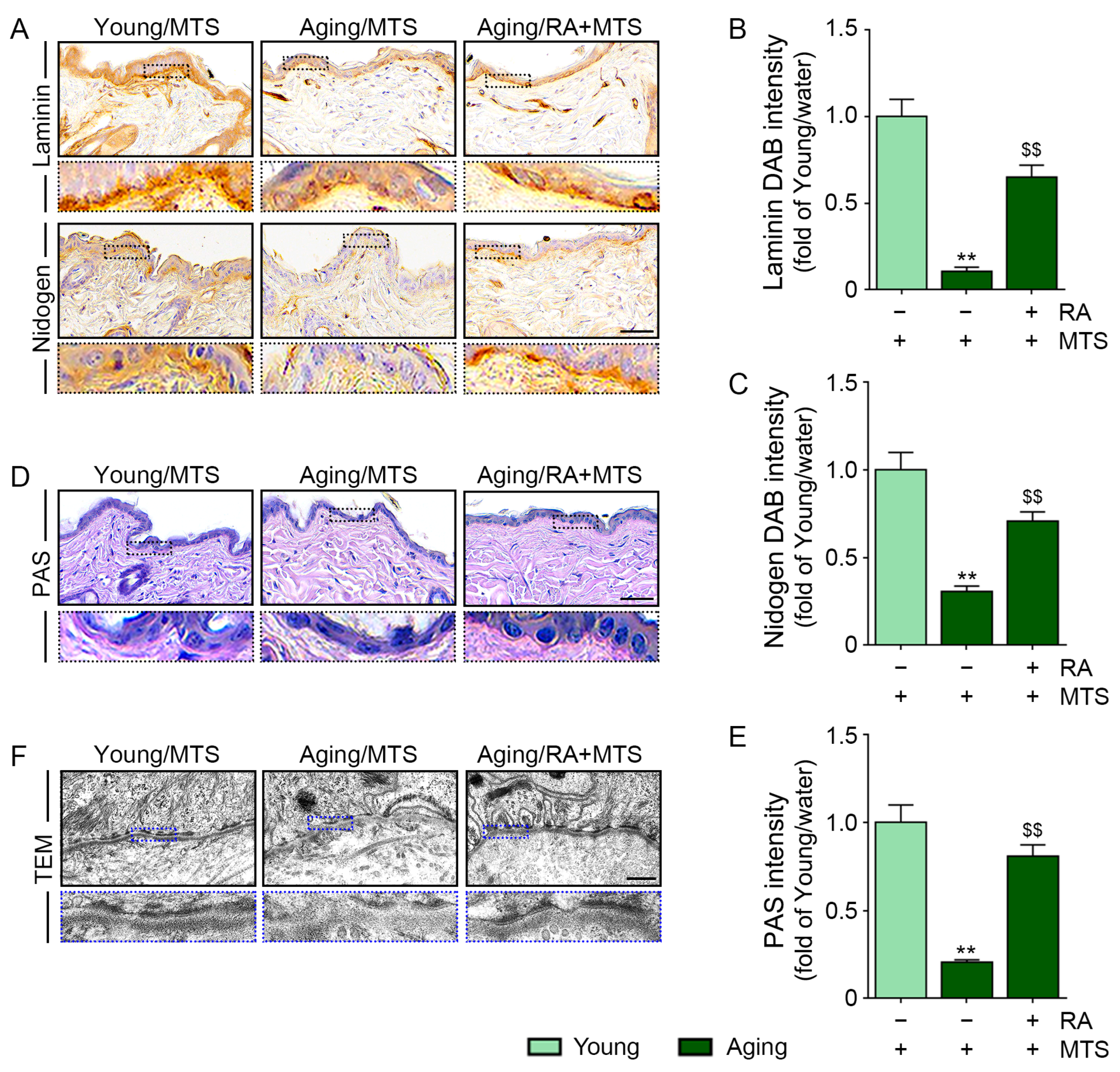Antioxidants 12 00694 g005