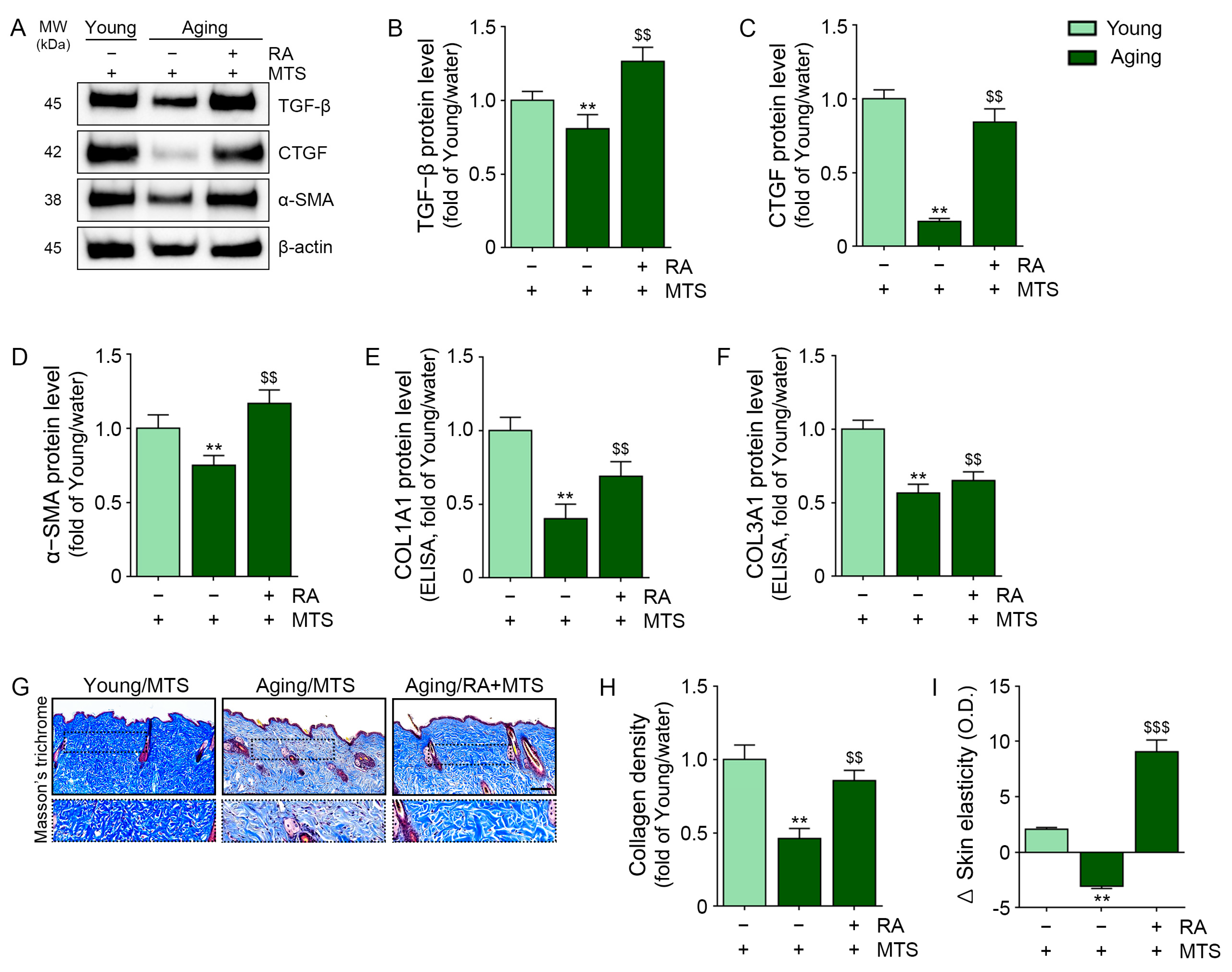 Antioxidants 12 00694 g006