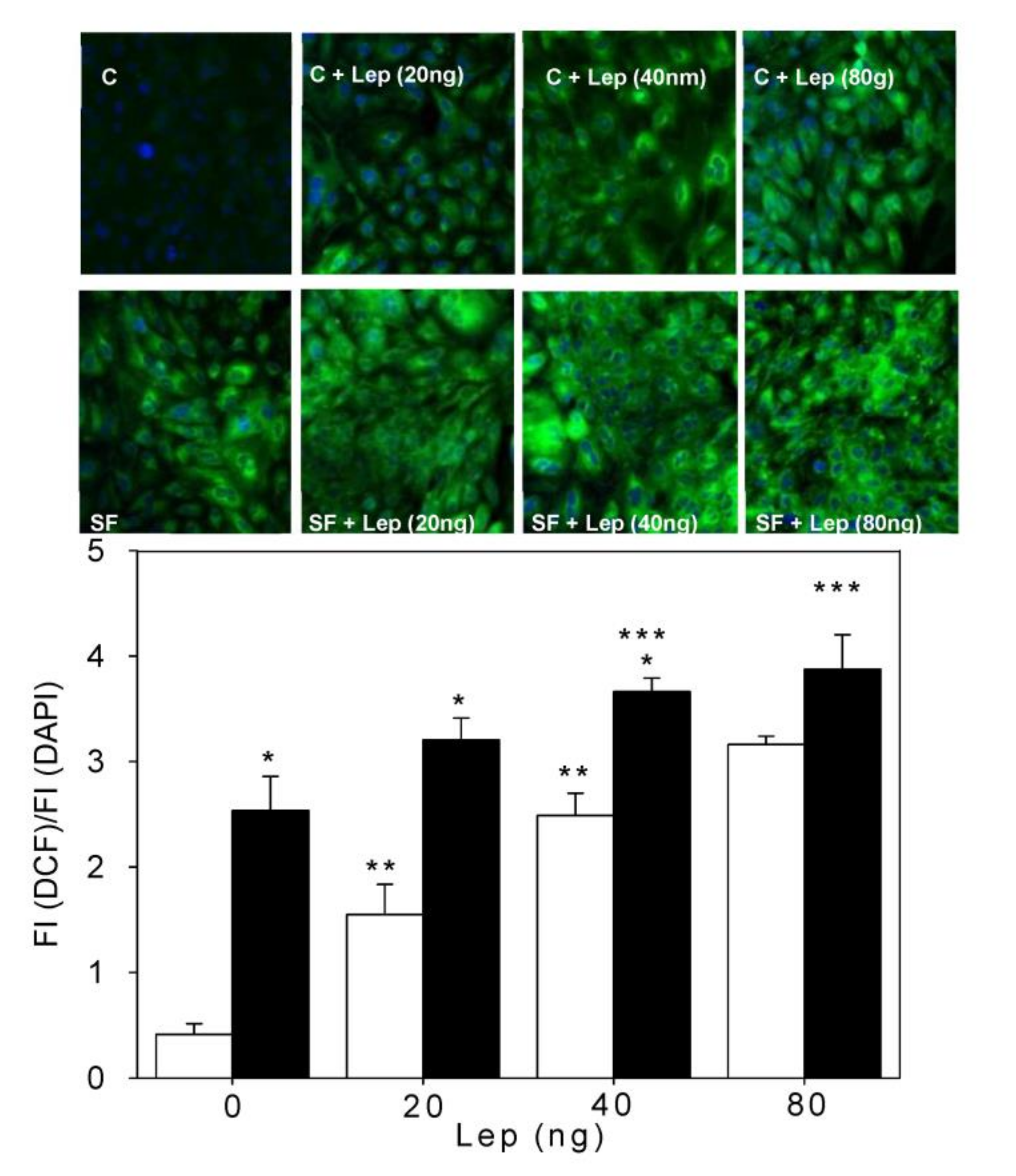Antioxidants 12 00728 g001 Antioxidants 12 00728 g001