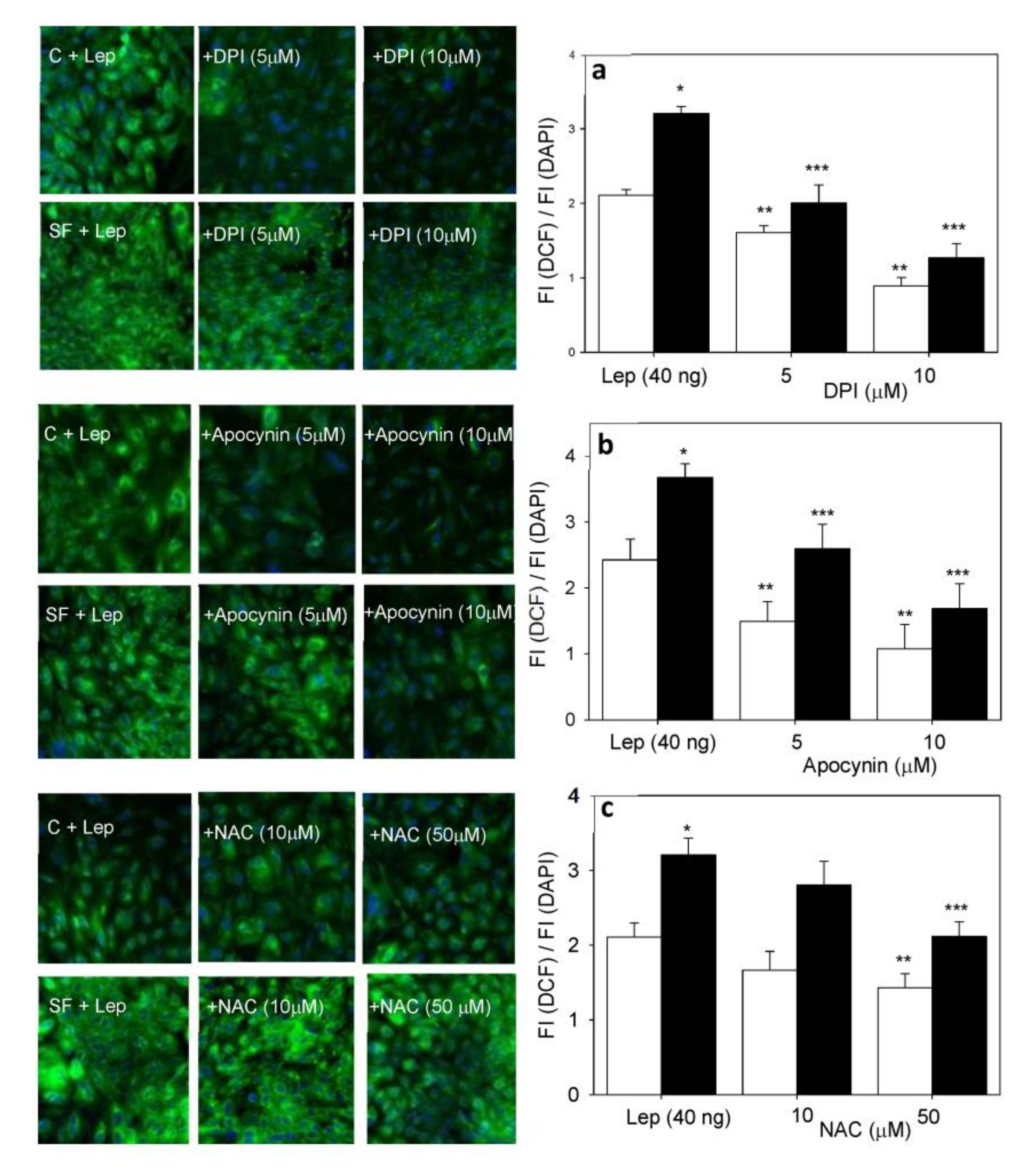 Antioxidants 12 00728 g002 Antioxidants 12 00728 g002