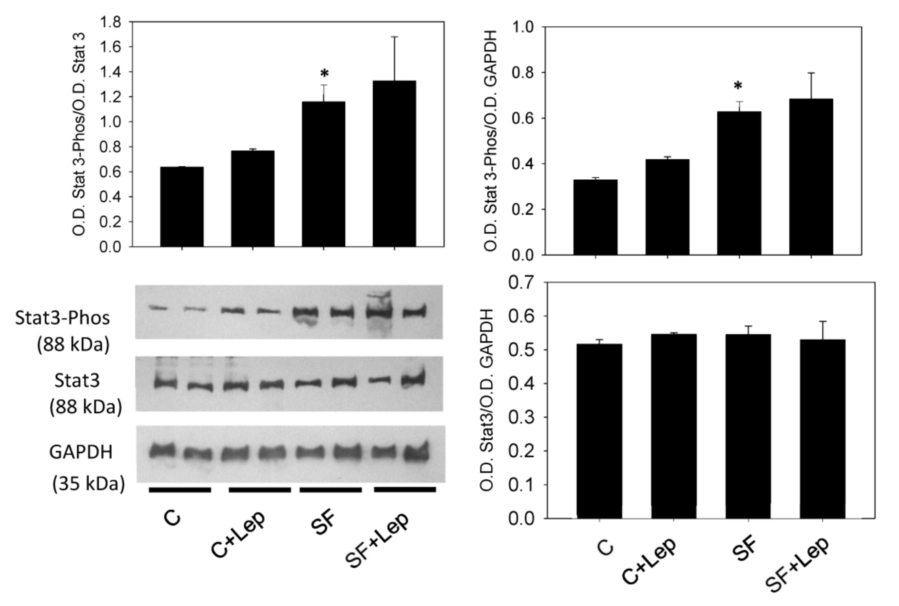 Antioxidants 12 00728 g005 Antioxidants 12 00728 g005