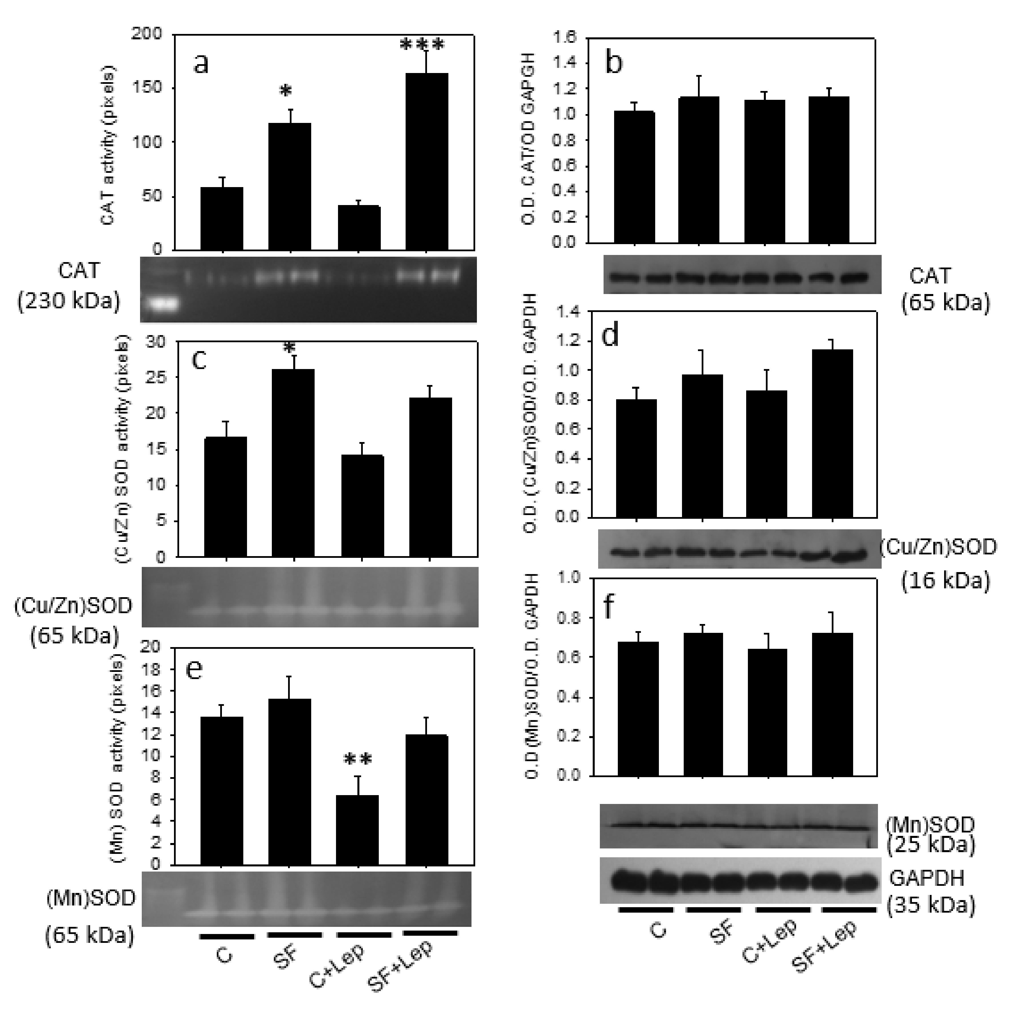 Antioxidants 12 00728 g006 Antioxidants 12 00728 g006