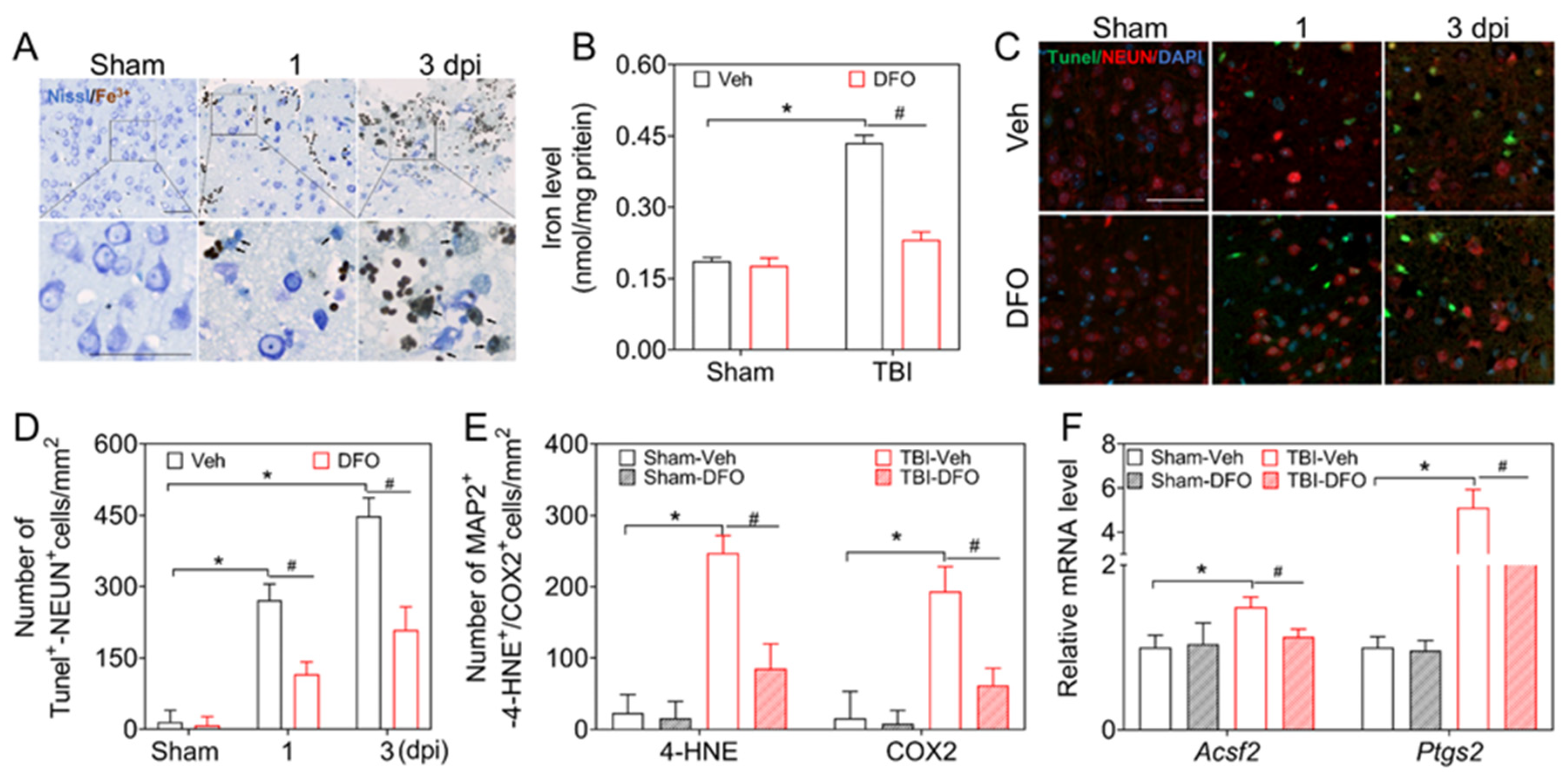 Antioxidants 12 00731 g001