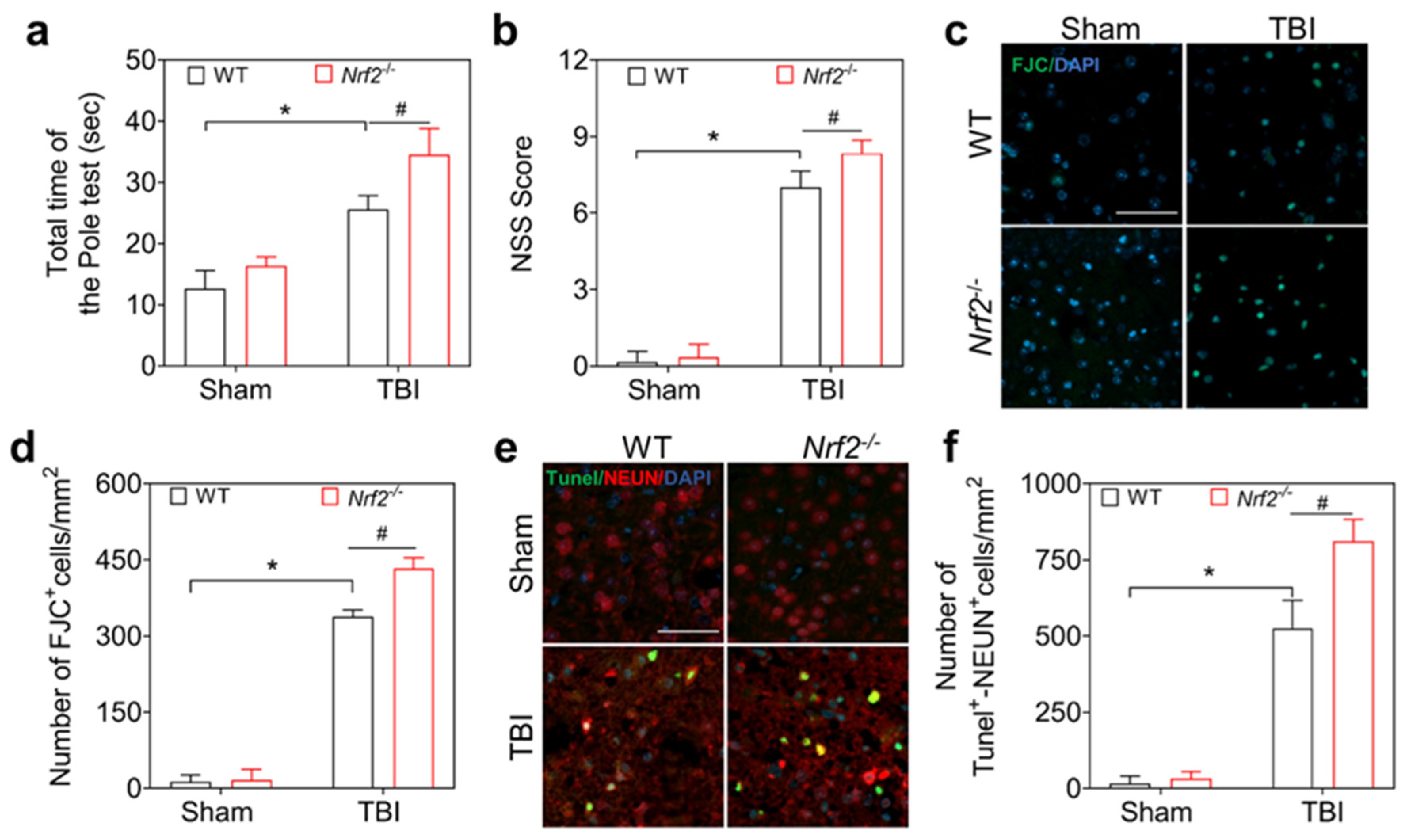 Antioxidants 12 00731 g002