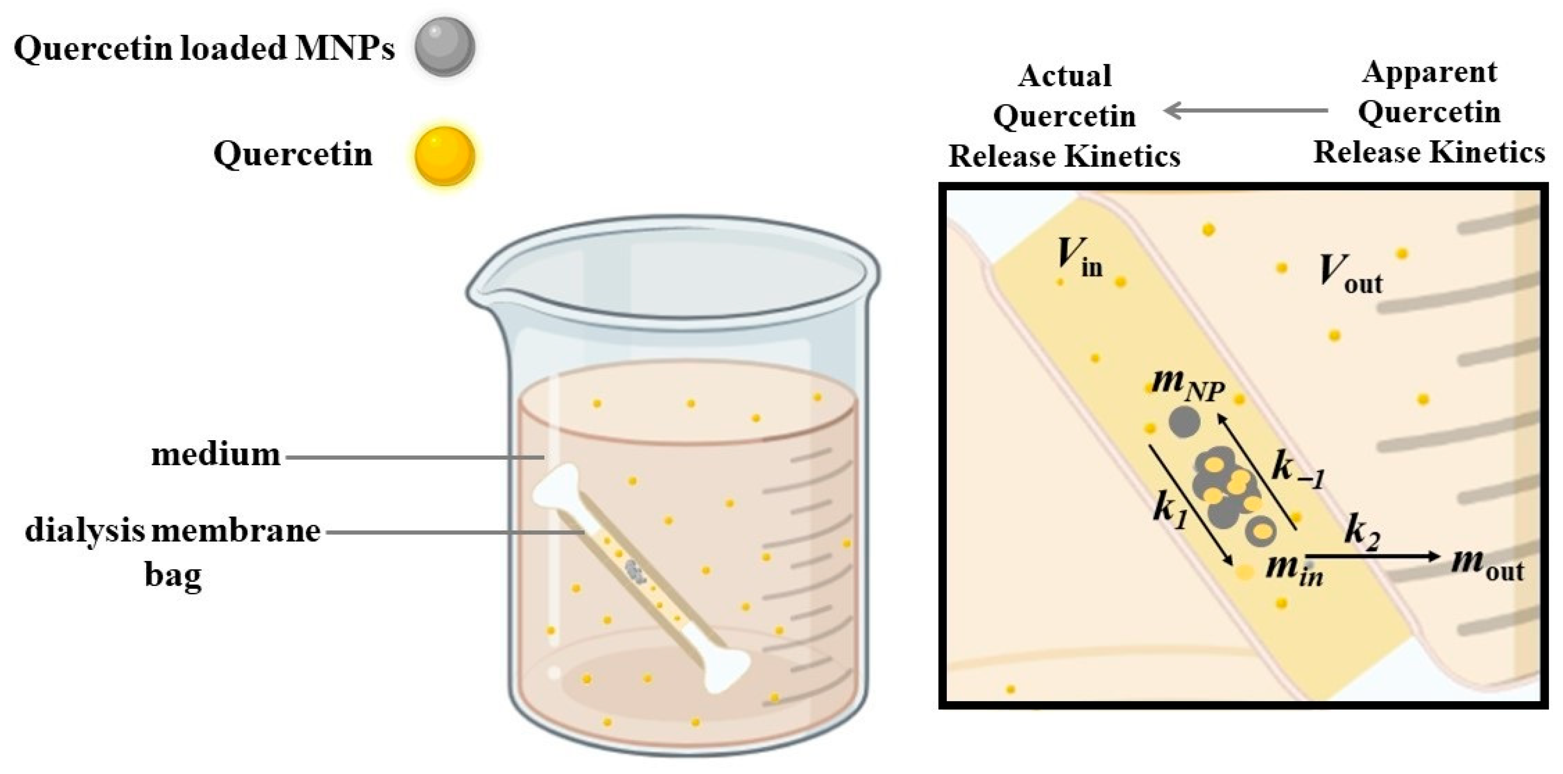 Antioxidants 12 00732 g001