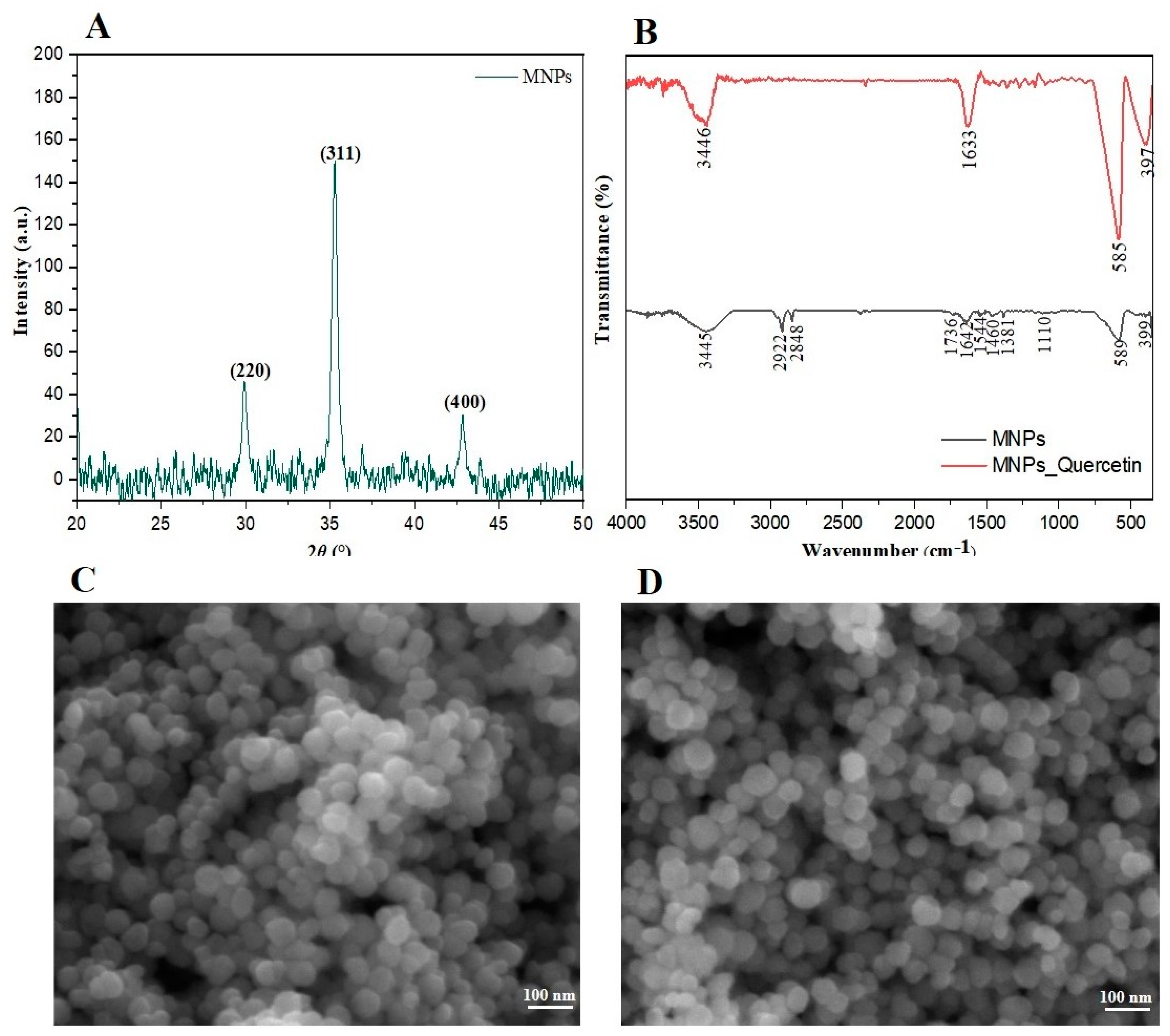 Antioxidants 12 00732 g002