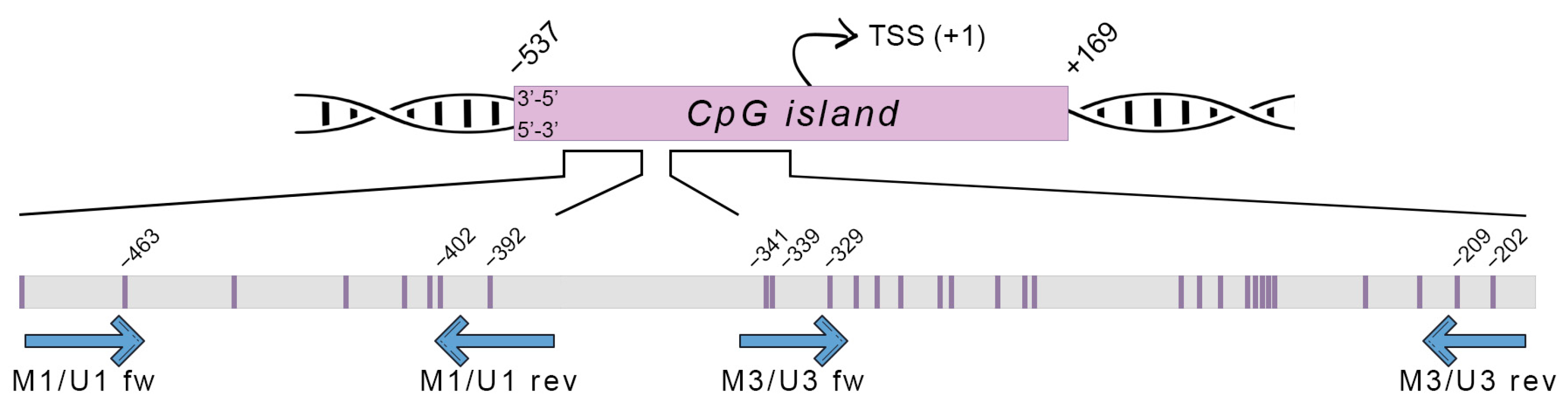 Antioxidants 12 00754 g003