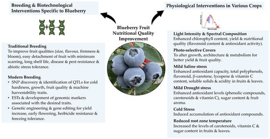 https://www.mdpi.com/antioxidants/antioxidants-12-00810/article_deploy/html/images/antioxidants-12-00810-g004-550.jpg