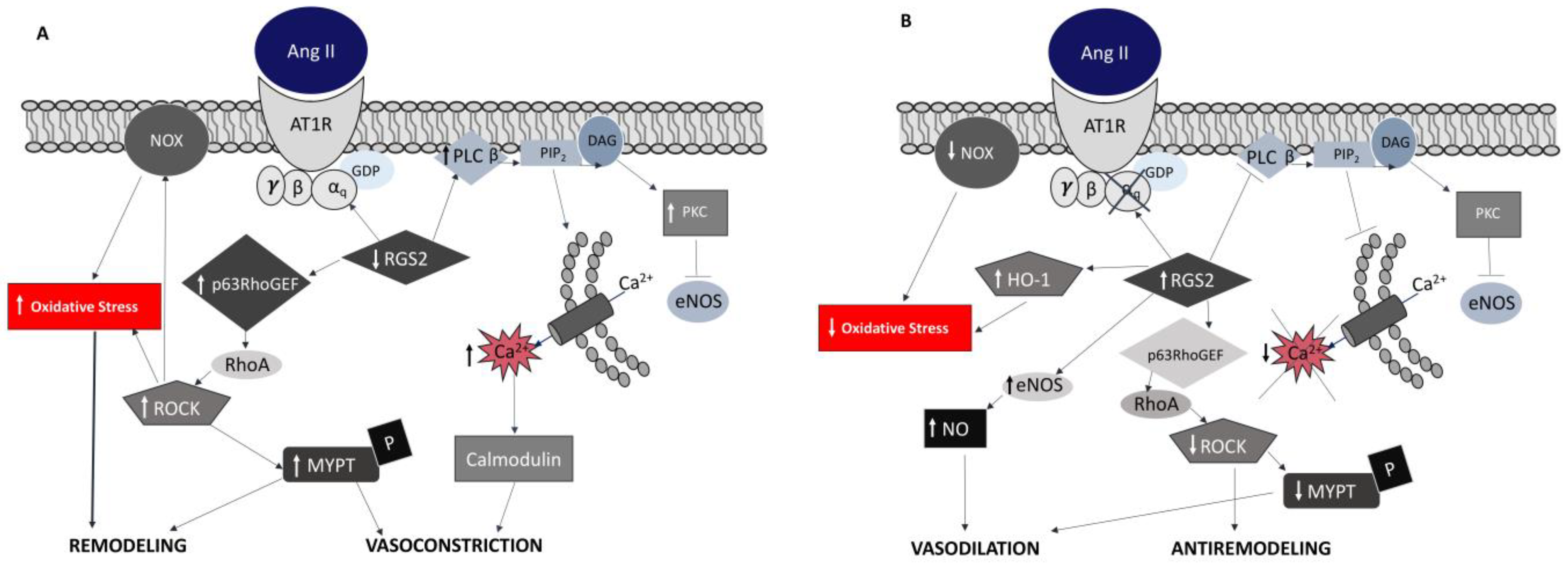 Antioxidants 12 00811 g001