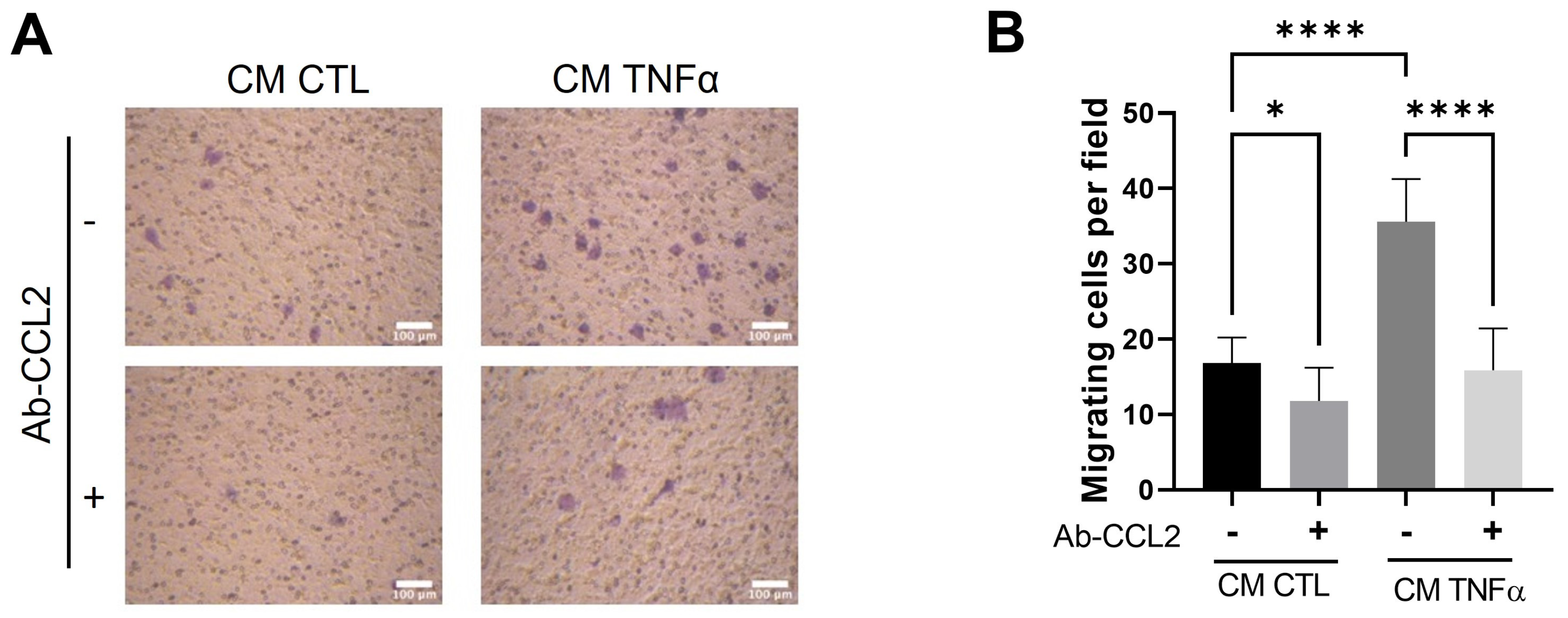 Antioxidants 12 00813 g004