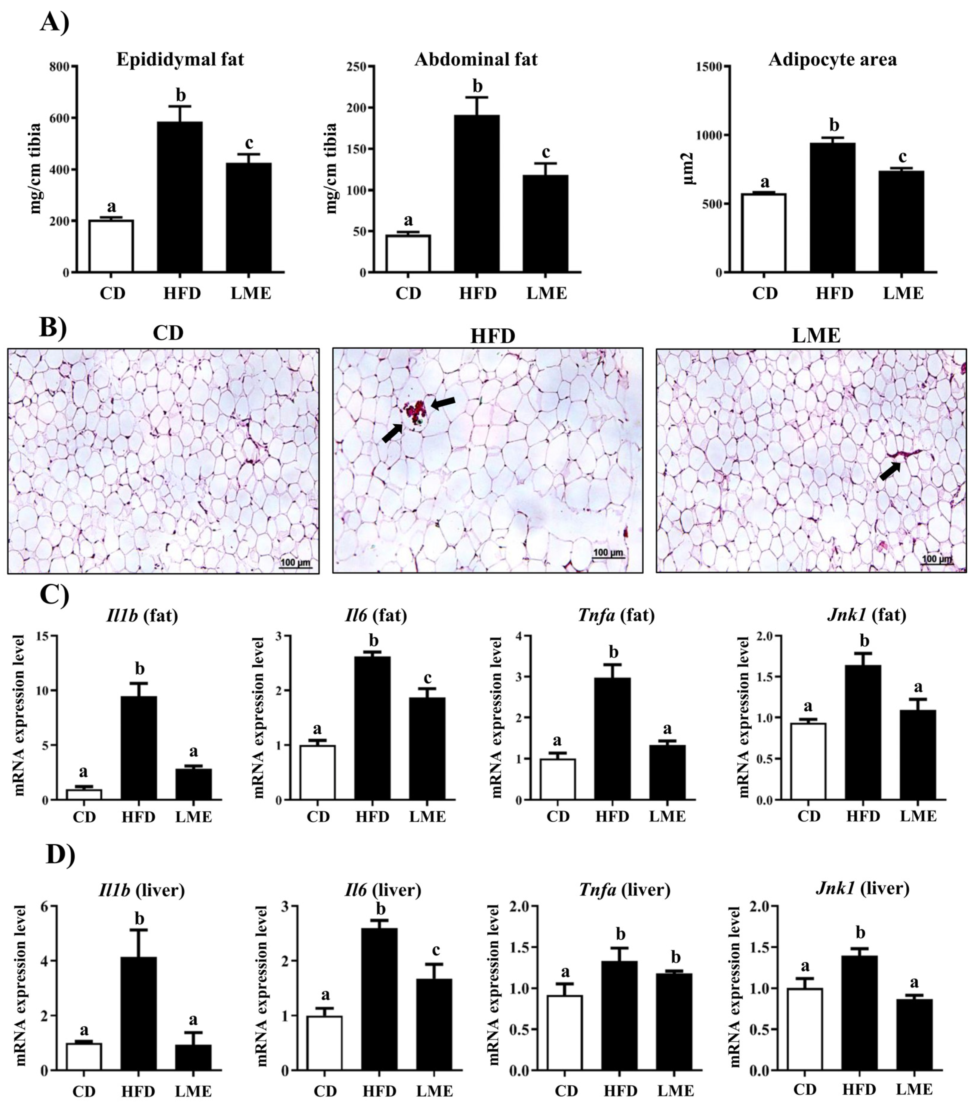 Antioxidants 12 00832 g007
