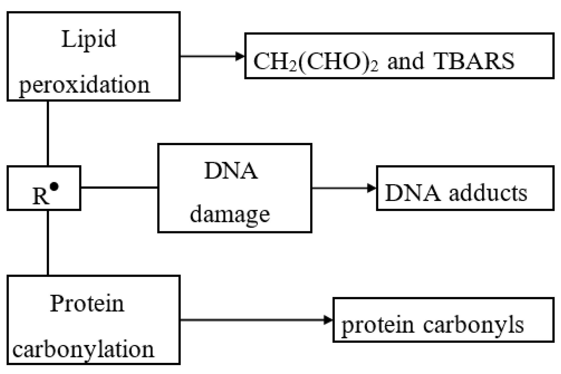 Antioxidants Free FullText The Biochemistry and Effectiveness of