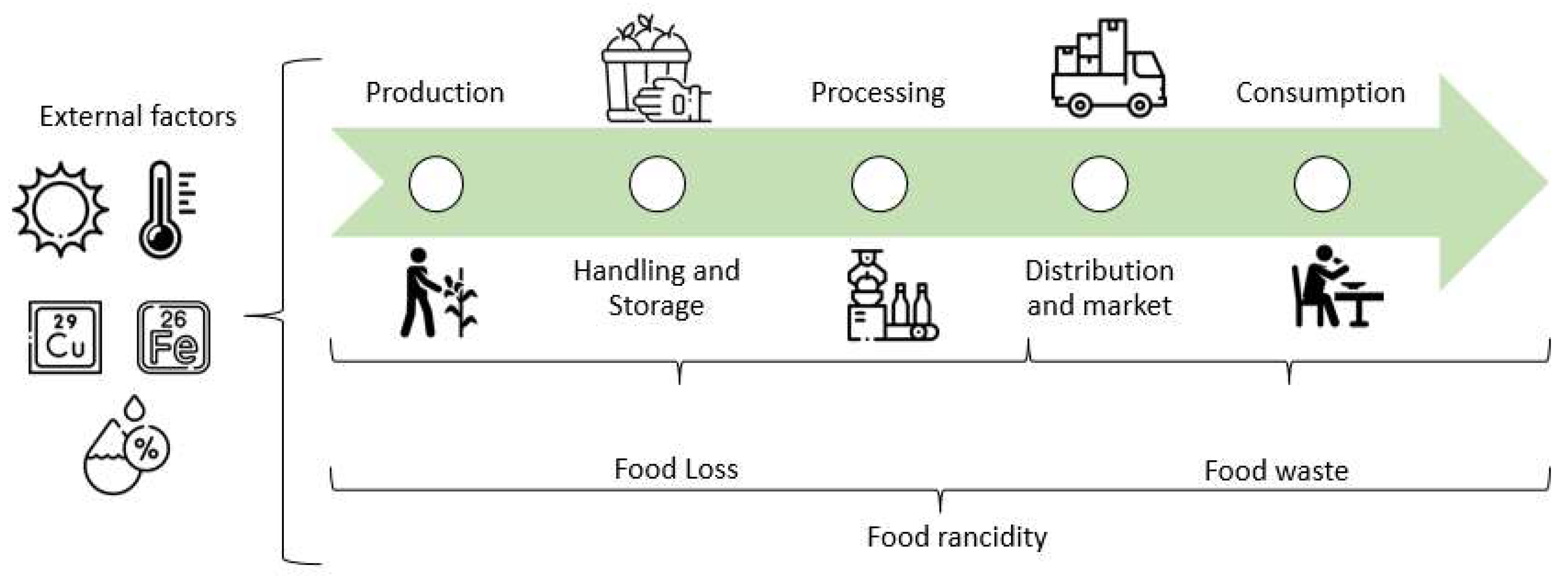 Antioxidants 12 00861 g001 Antioxidants 12 00861 g001