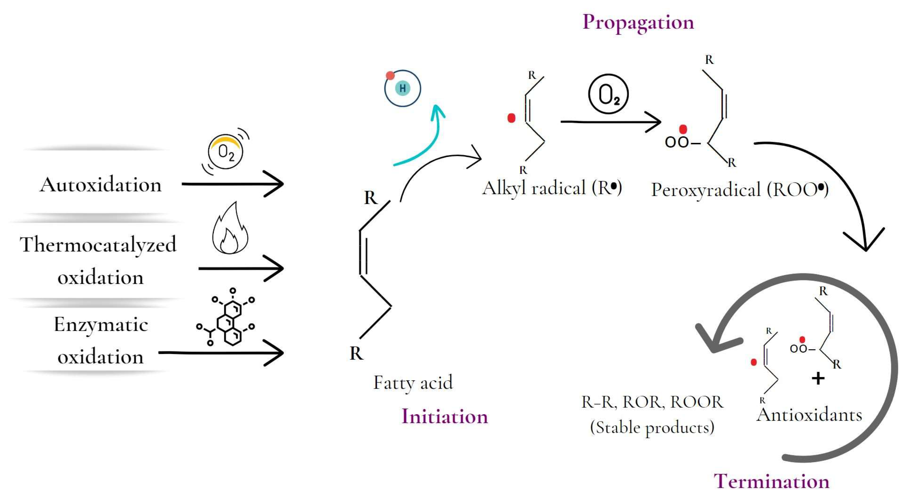 Antioxidants 12 00861 g002 Antioxidants 12 00861 g002