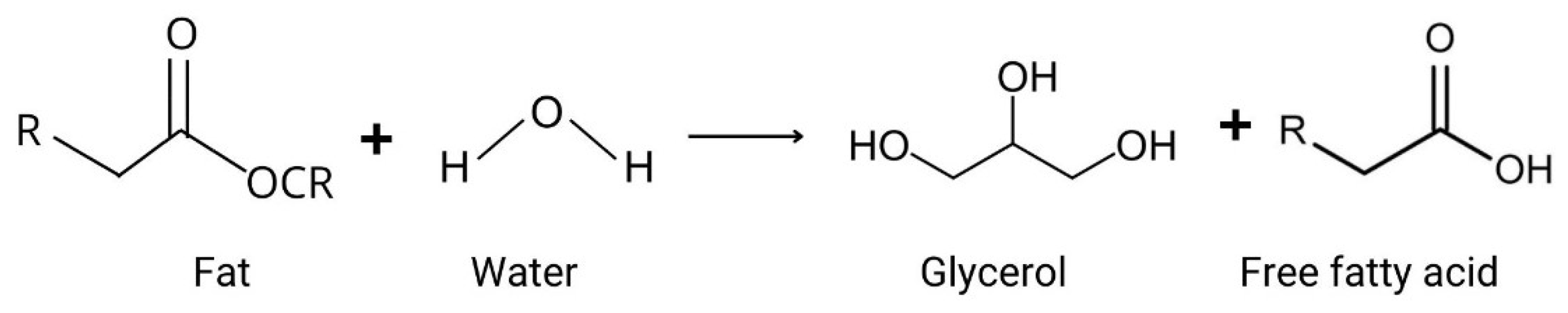 Antioxidants 12 00861 g003 Antioxidants 12 00861 g003