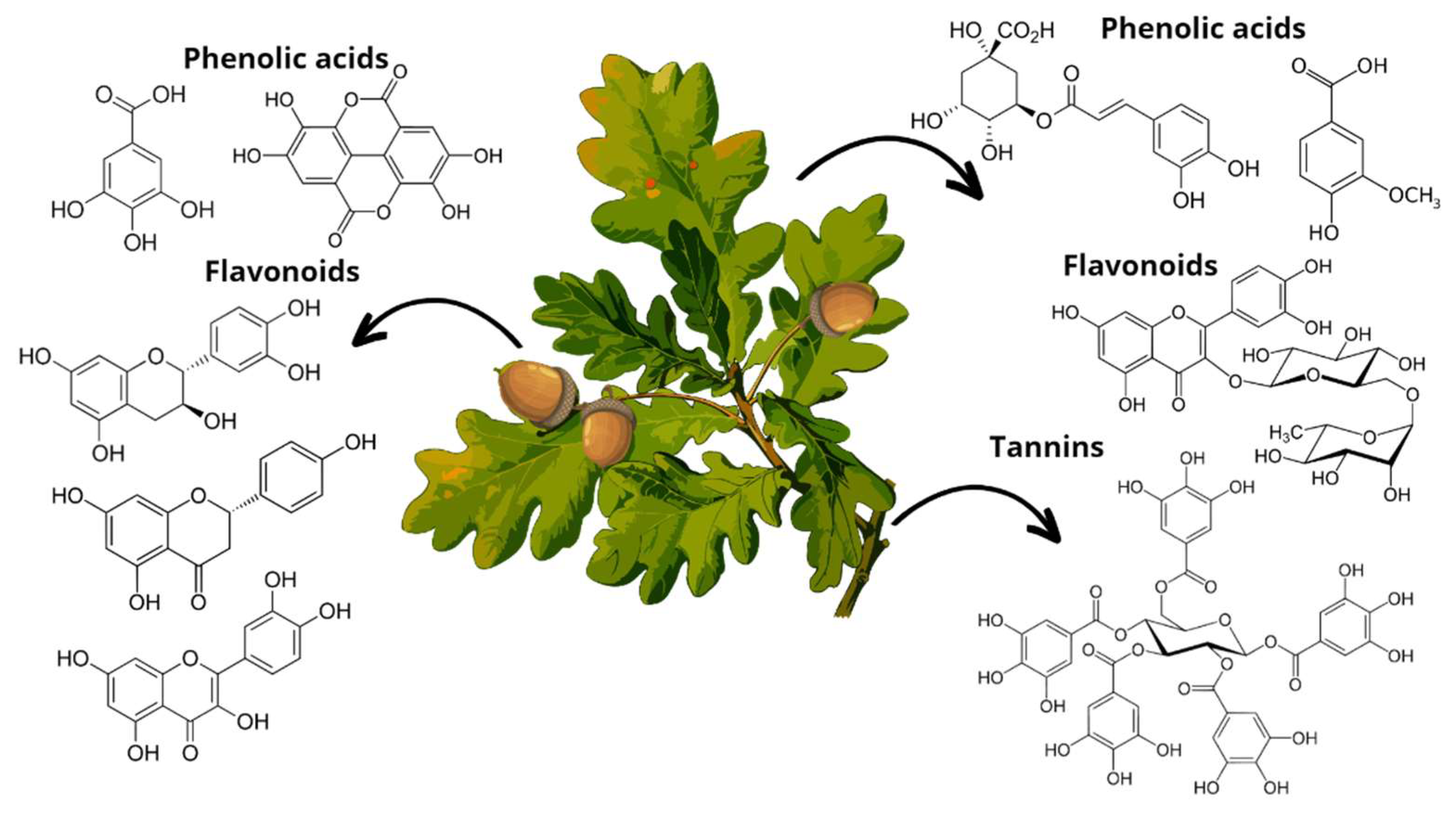Antioxidants 12 00861 g005 Antioxidants 12 00861 g005
