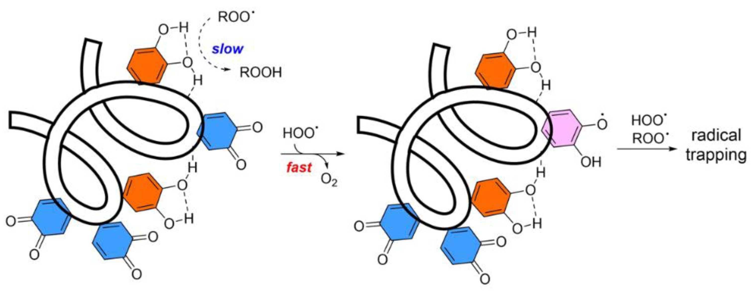 Antioxidants 12 00863 g002 Antioxidants 12 00863 g002
