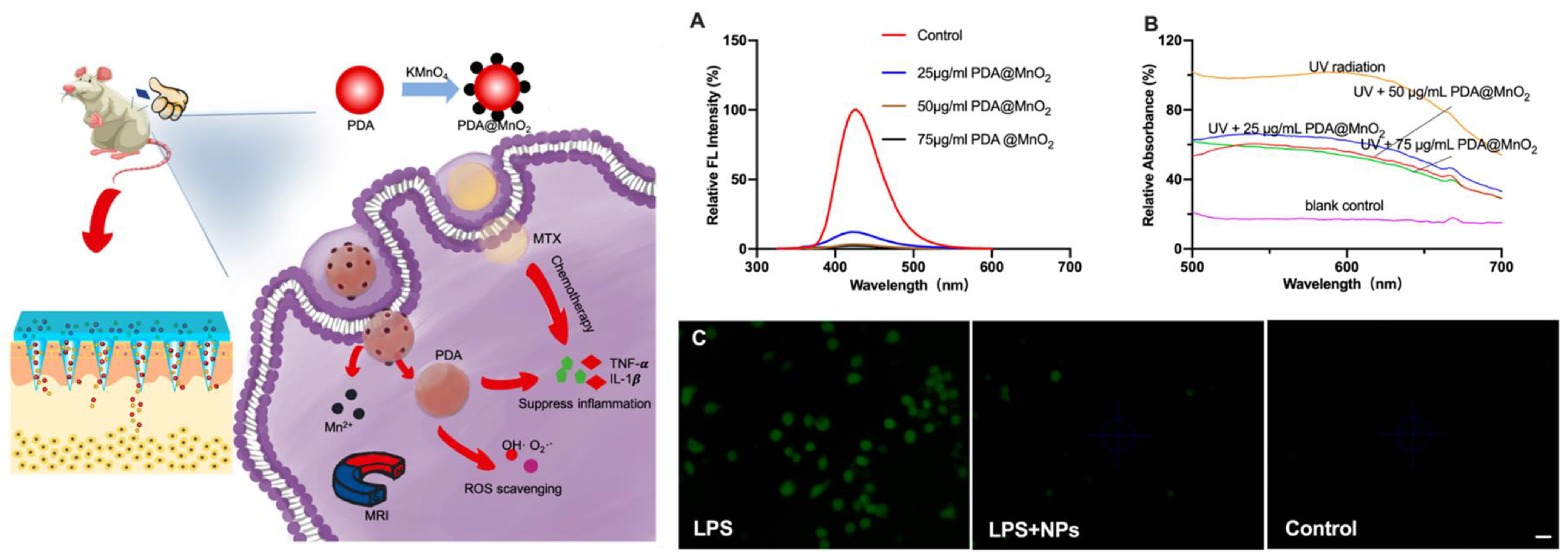 Antioxidants 12 00863 g007 Antioxidants 12 00863 g007