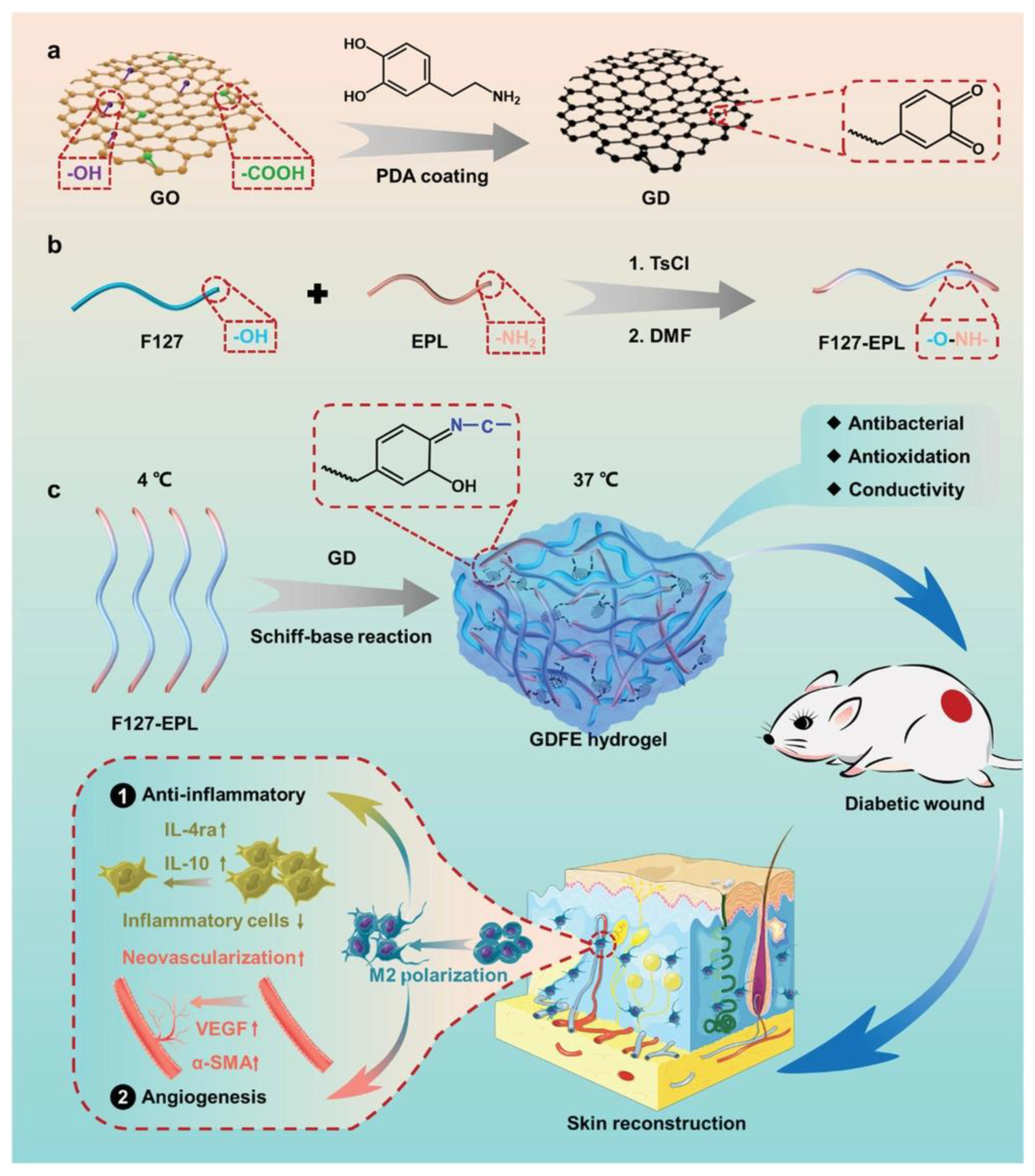 Antioxidants 12 00863 g009 Antioxidants 12 00863 g009