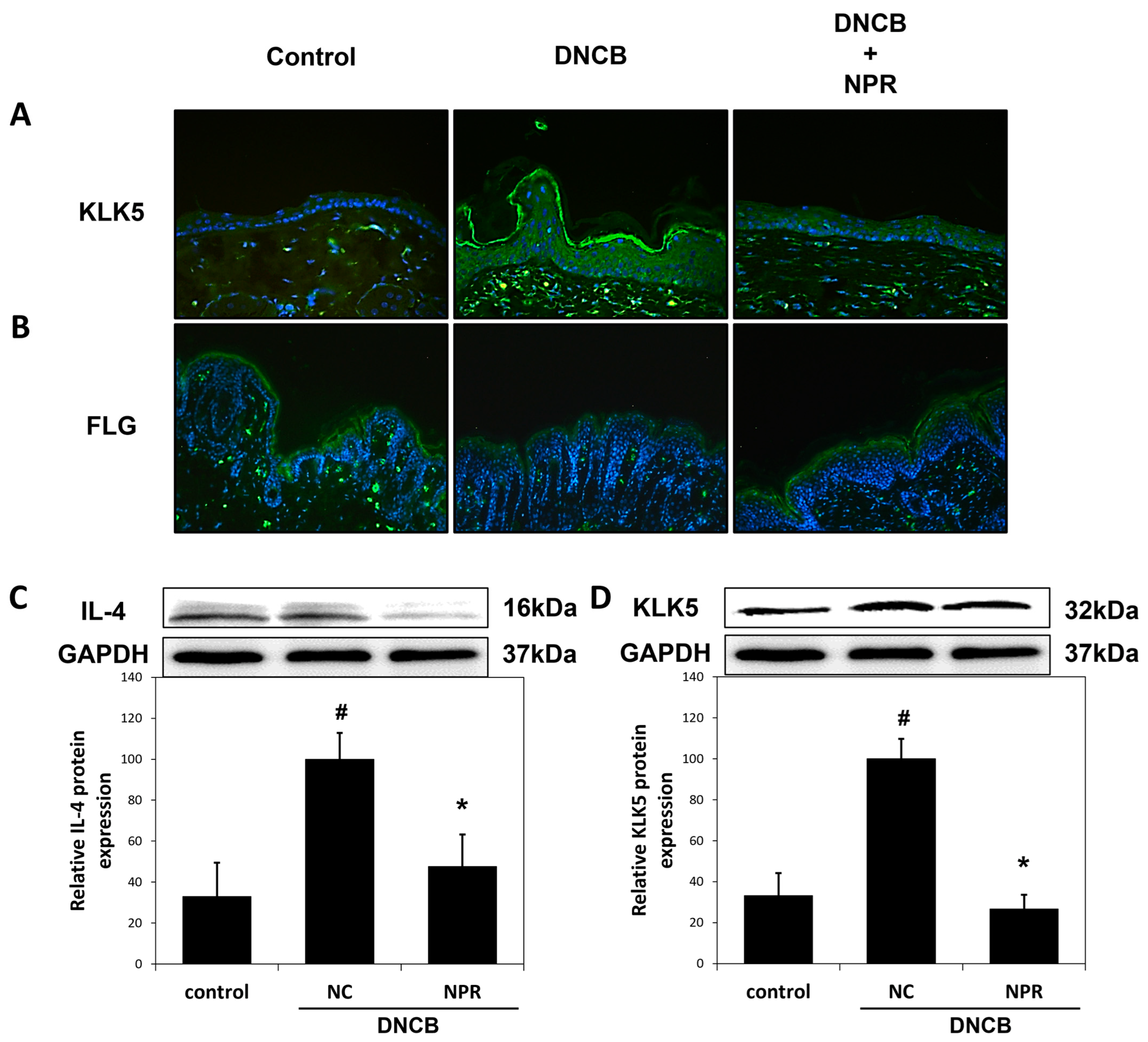 Antioxidants 12 00873 g005