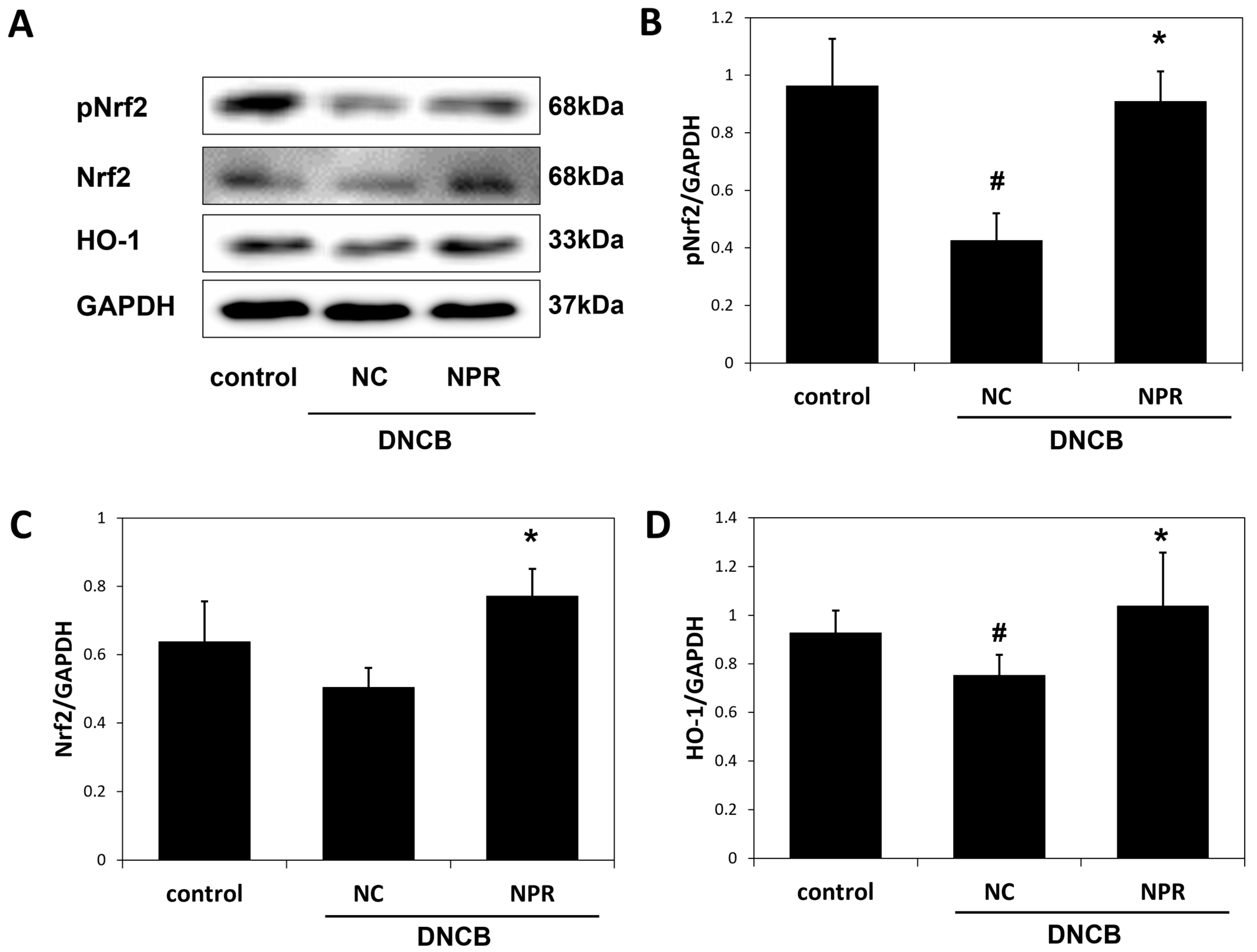 Antioxidants 12 00873 g006