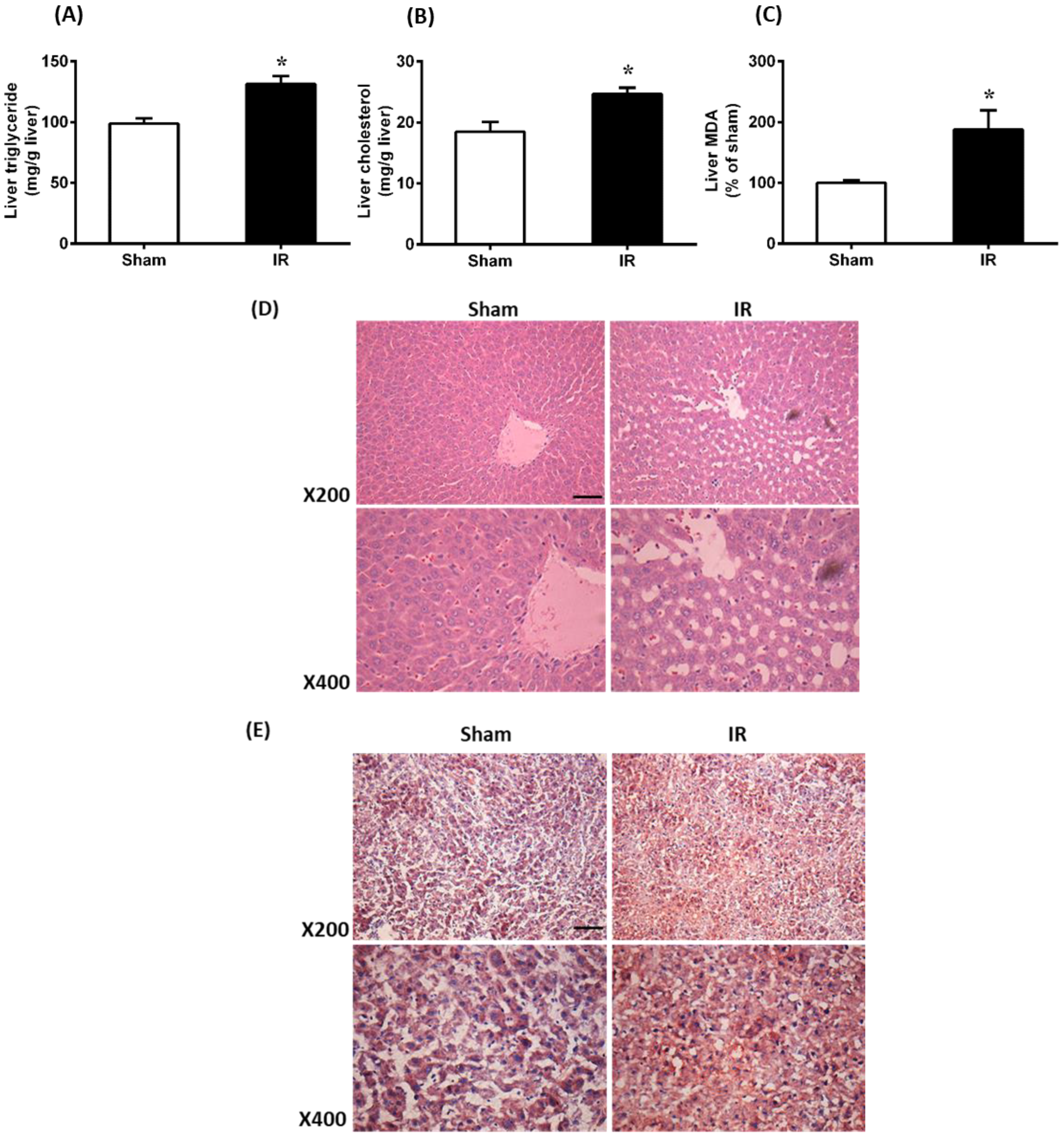 Antioxidants 12 00883 g002