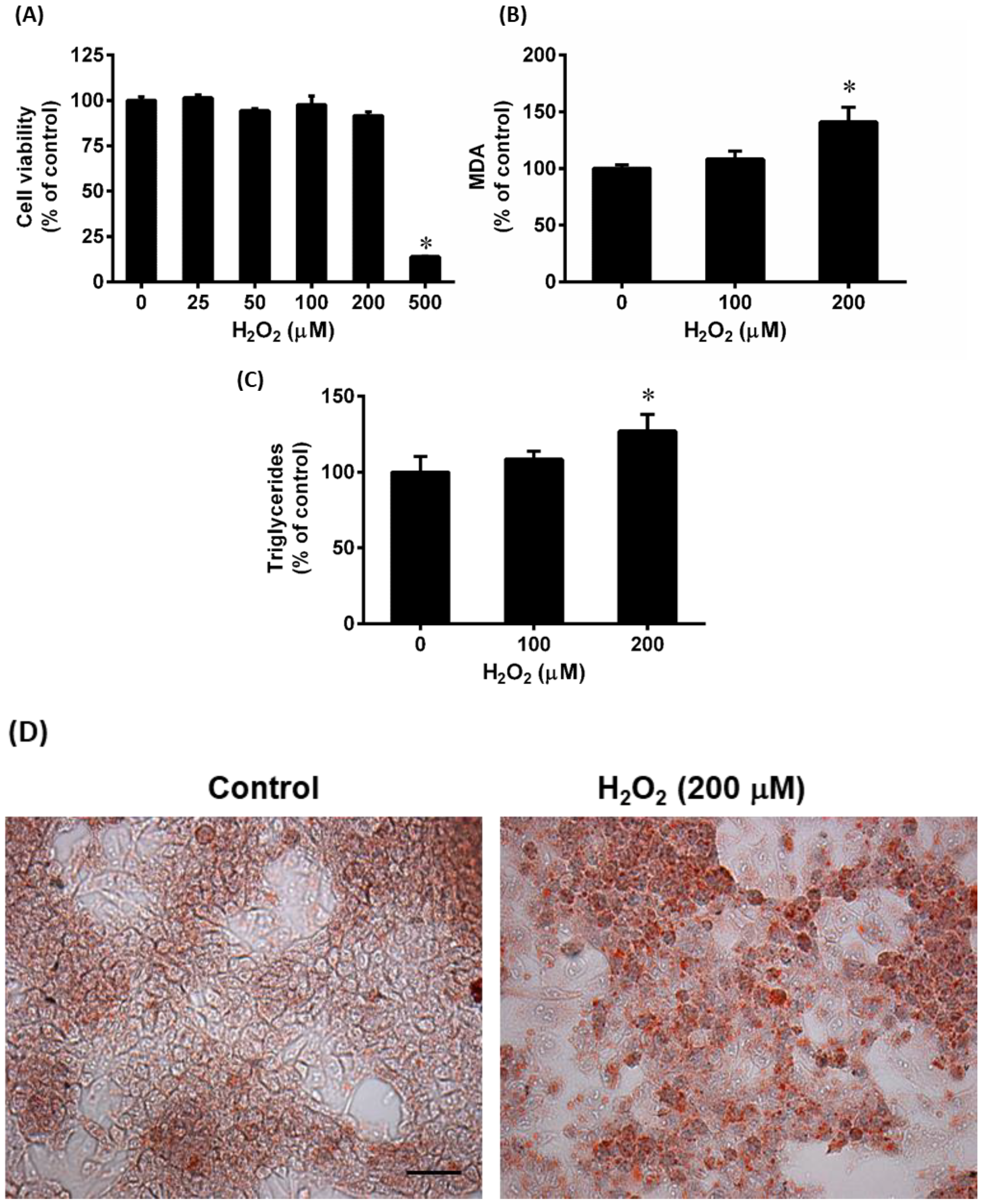 Antioxidants 12 00883 g004