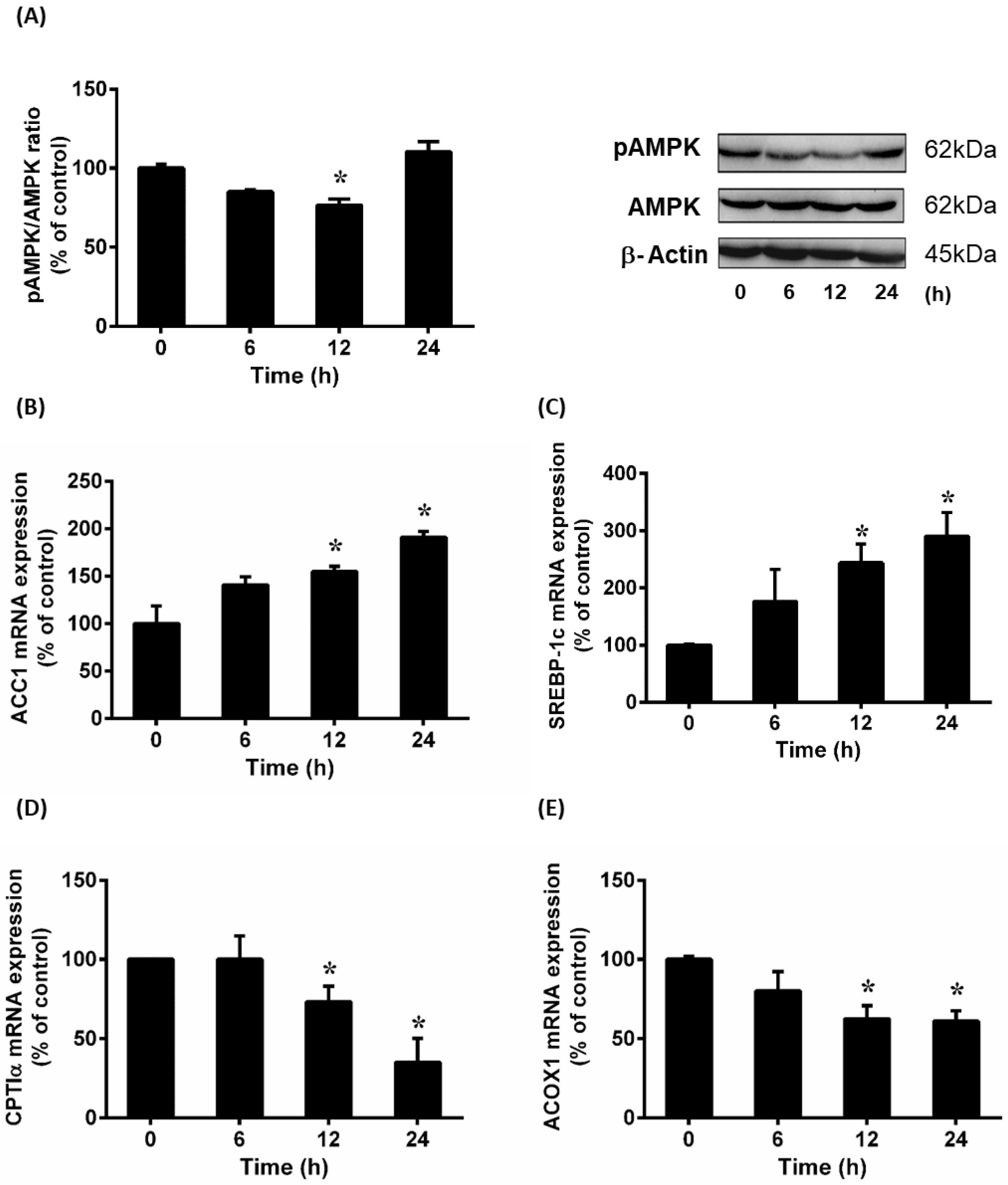 Antioxidants 12 00883 g005