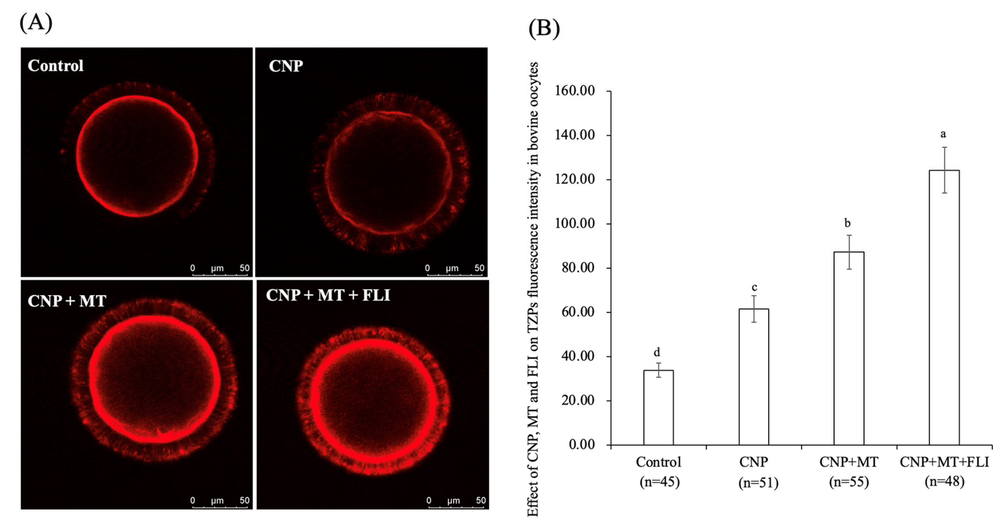 Antioxidants 12 00897 g003