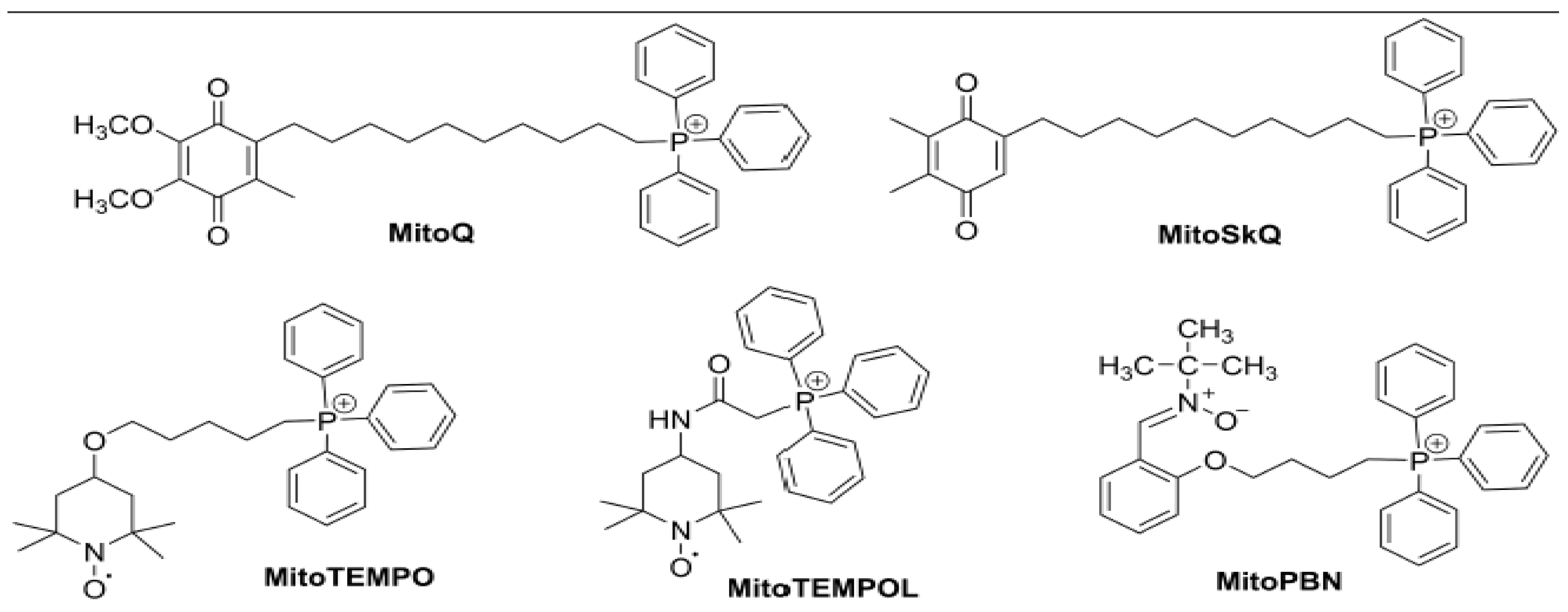Antioxidants 12 00898 g003