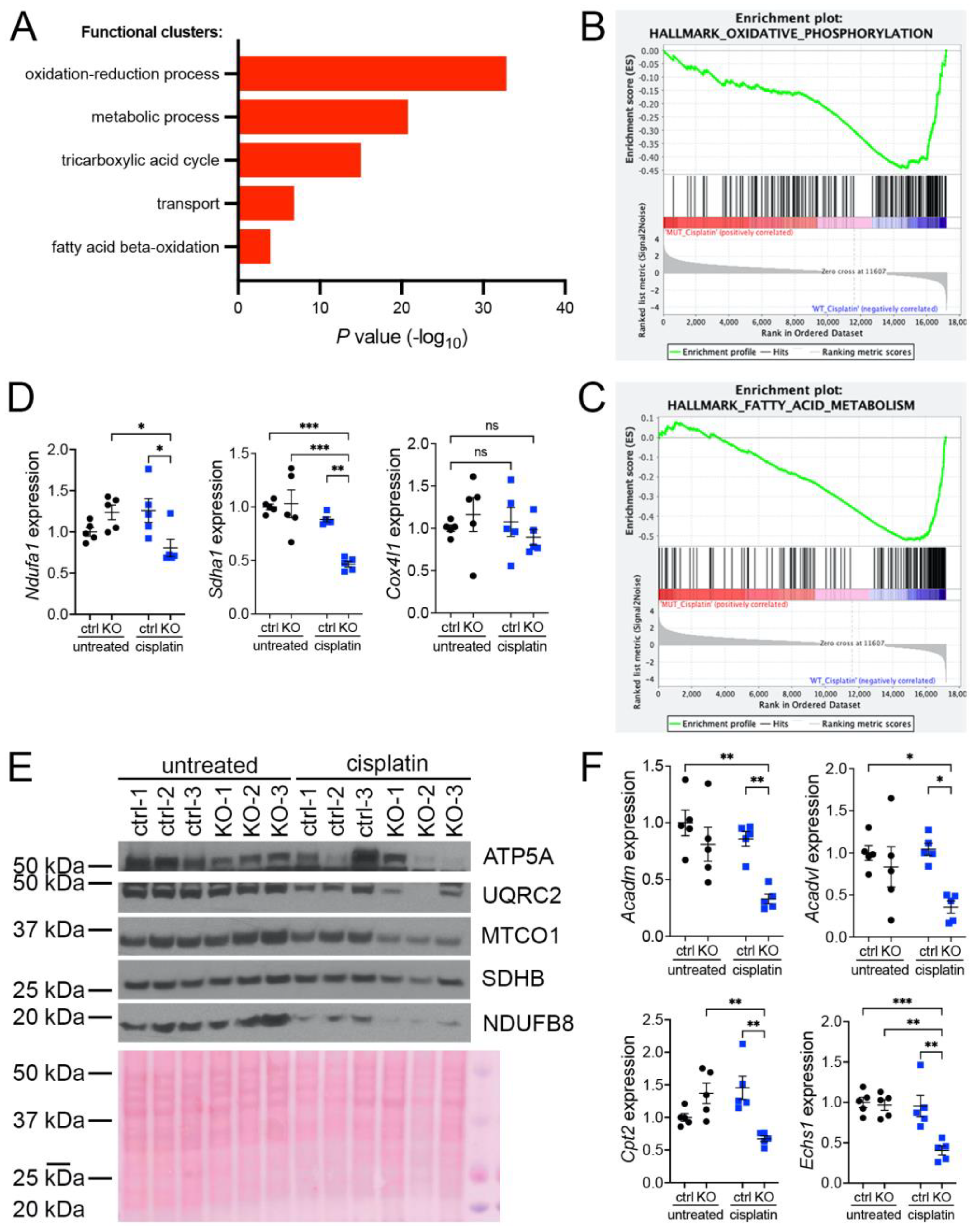 Antioxidants 12 00900 g001