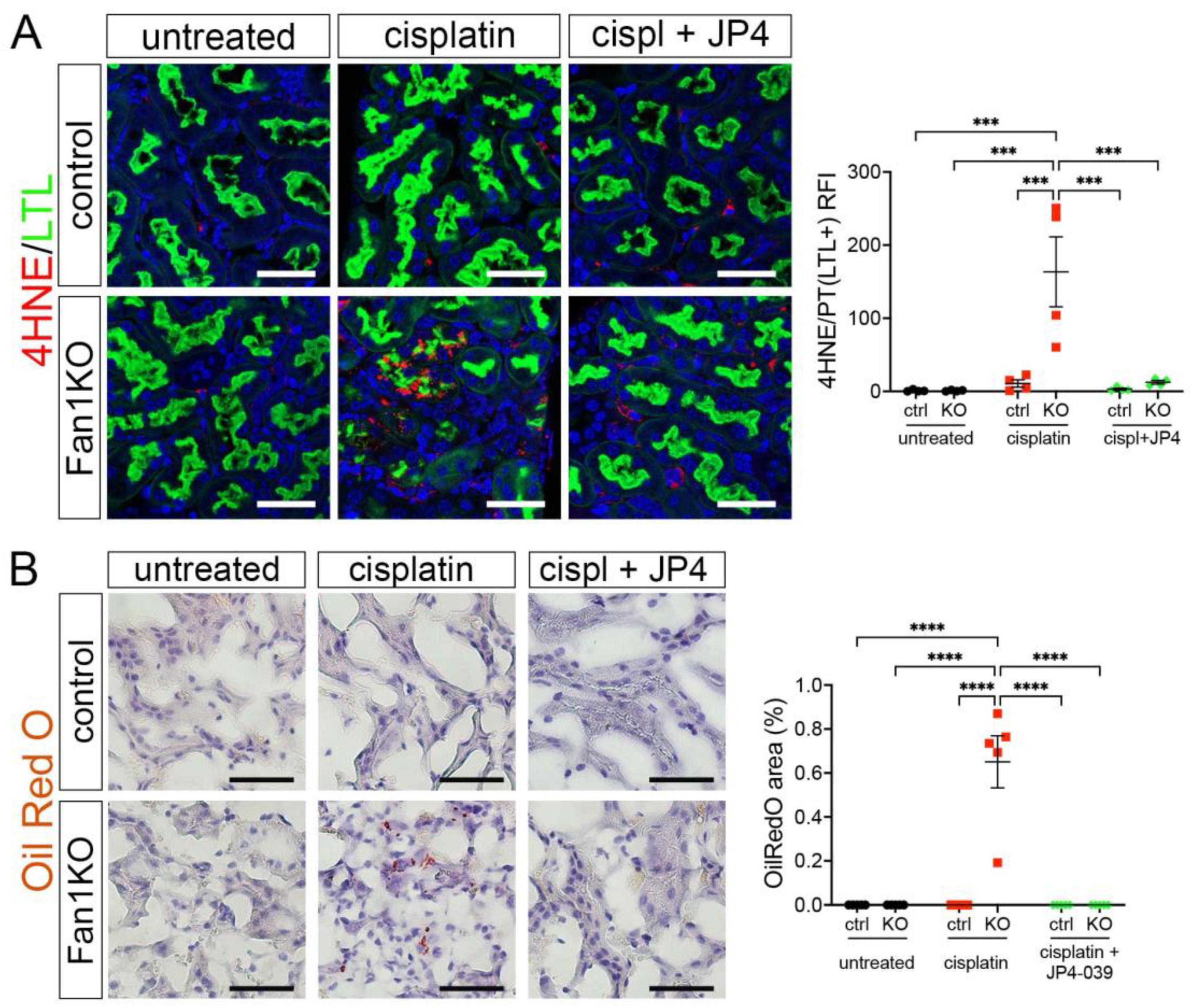 Antioxidants 12 00900 g005