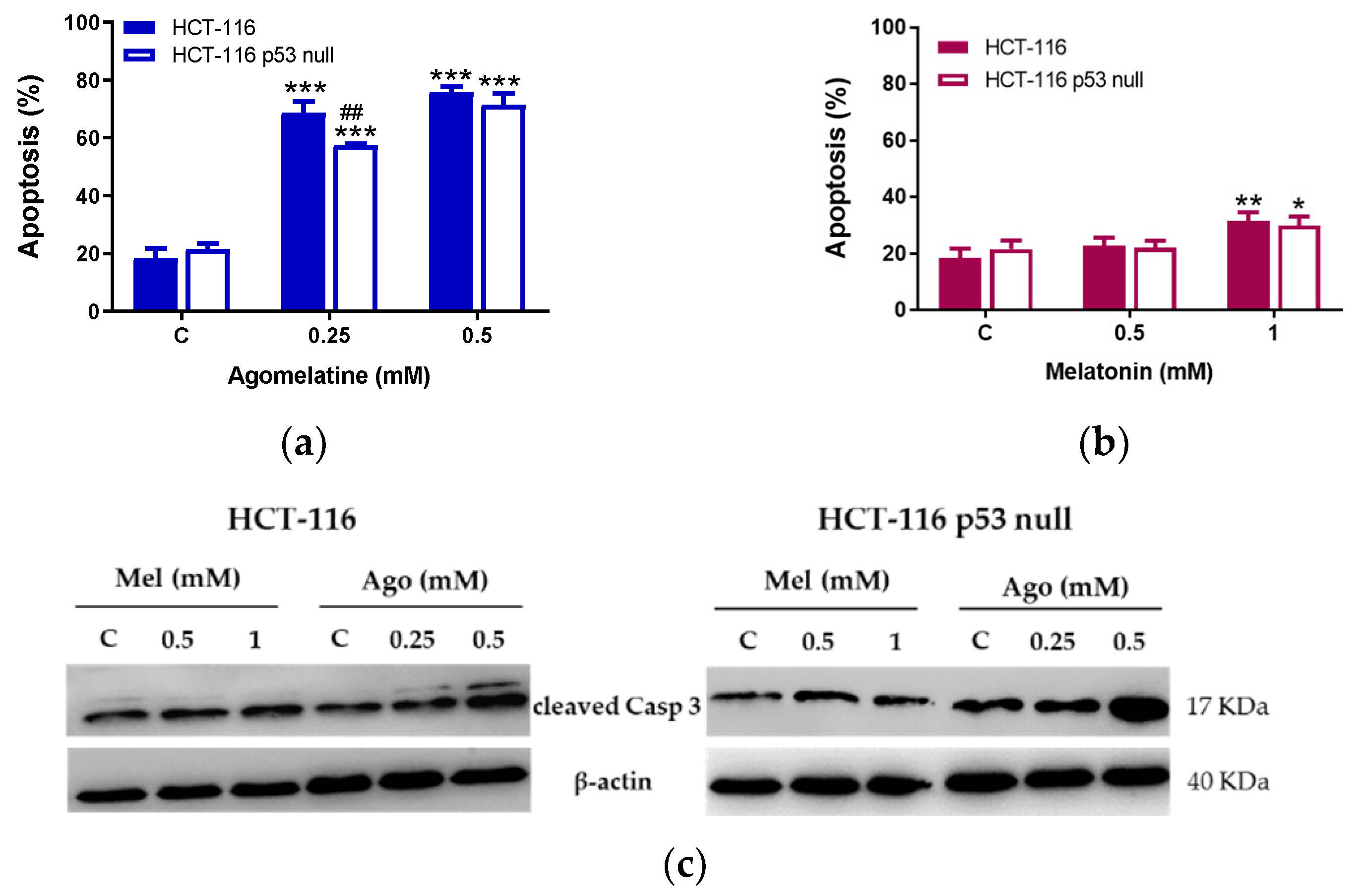 Antioxidants 12 00926 g003 Antioxidants 12 00926 g003