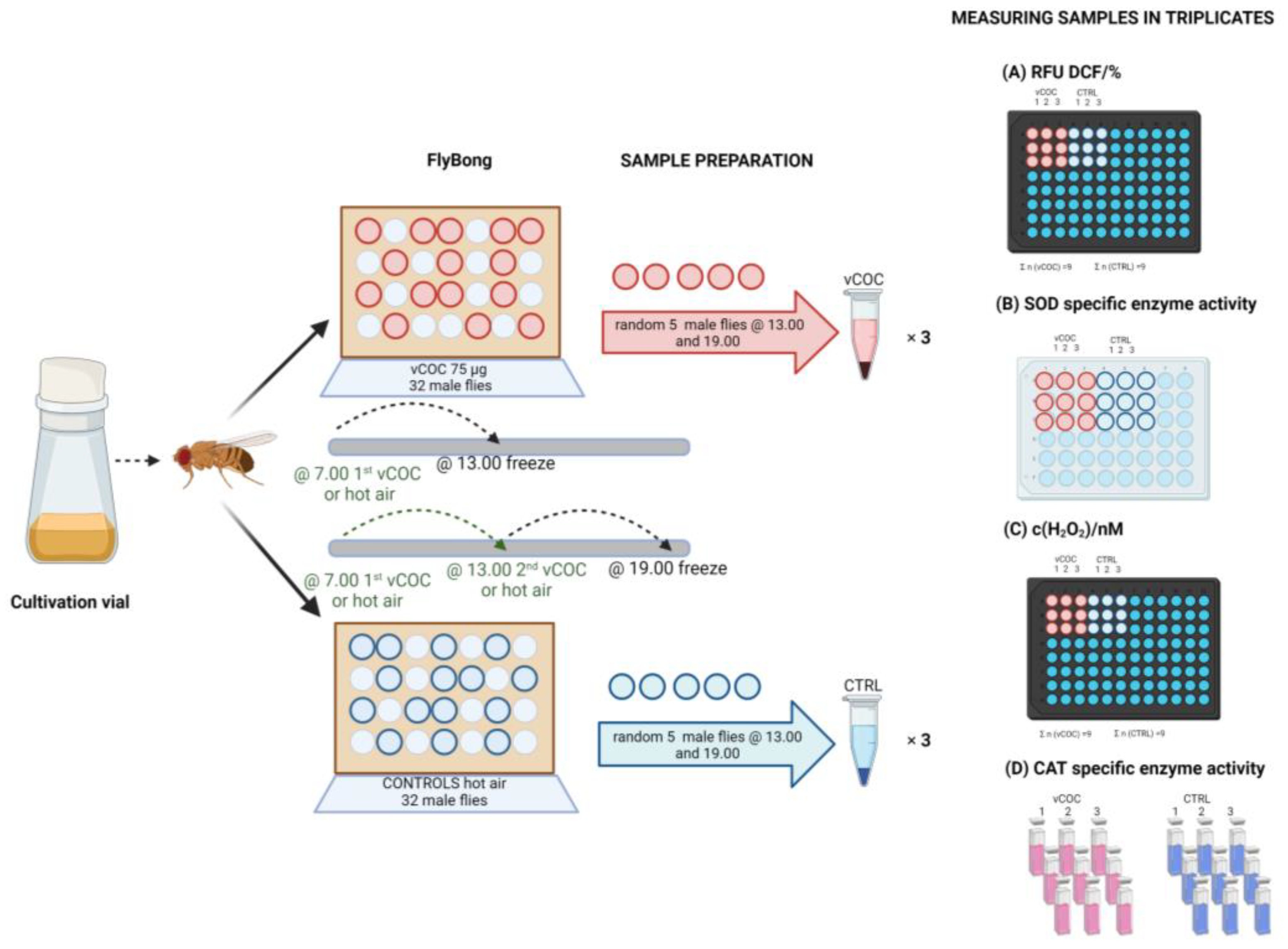 The Drosophila Individual Activity Monitoring and Detection System