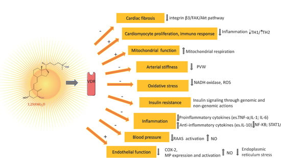 Antioxidants, Free Full-Text