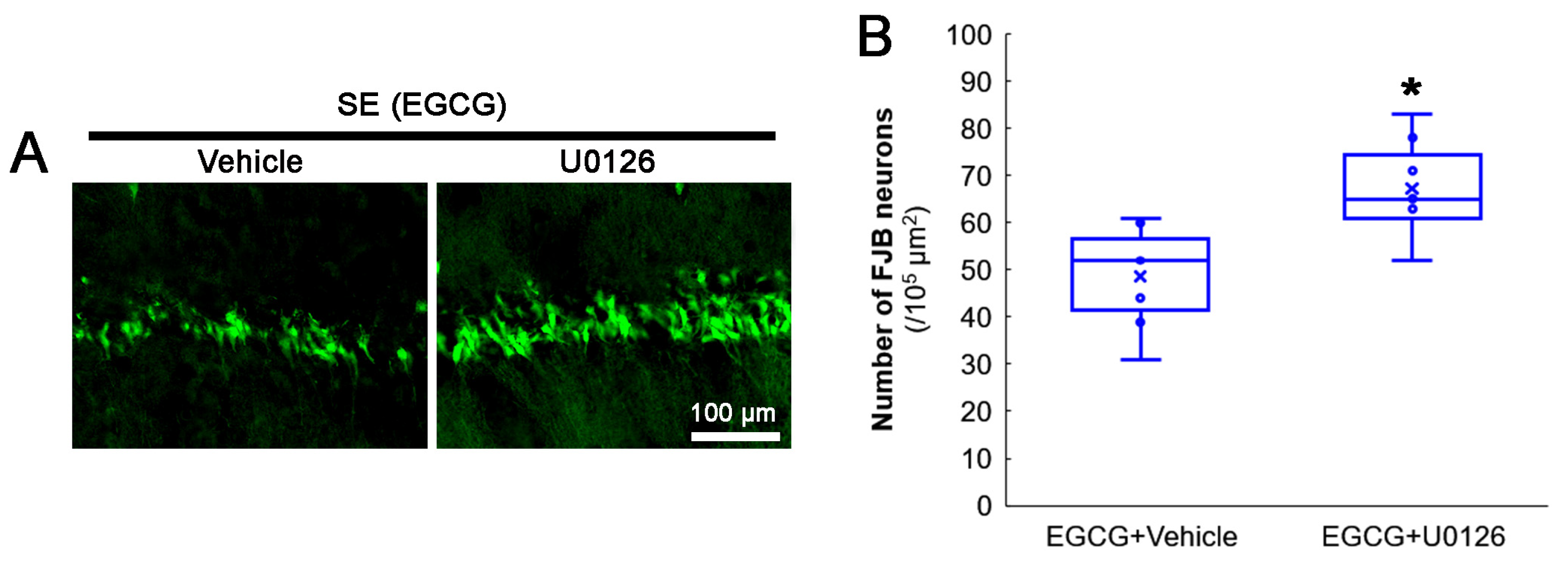 Antioxidants 12 00966 g008