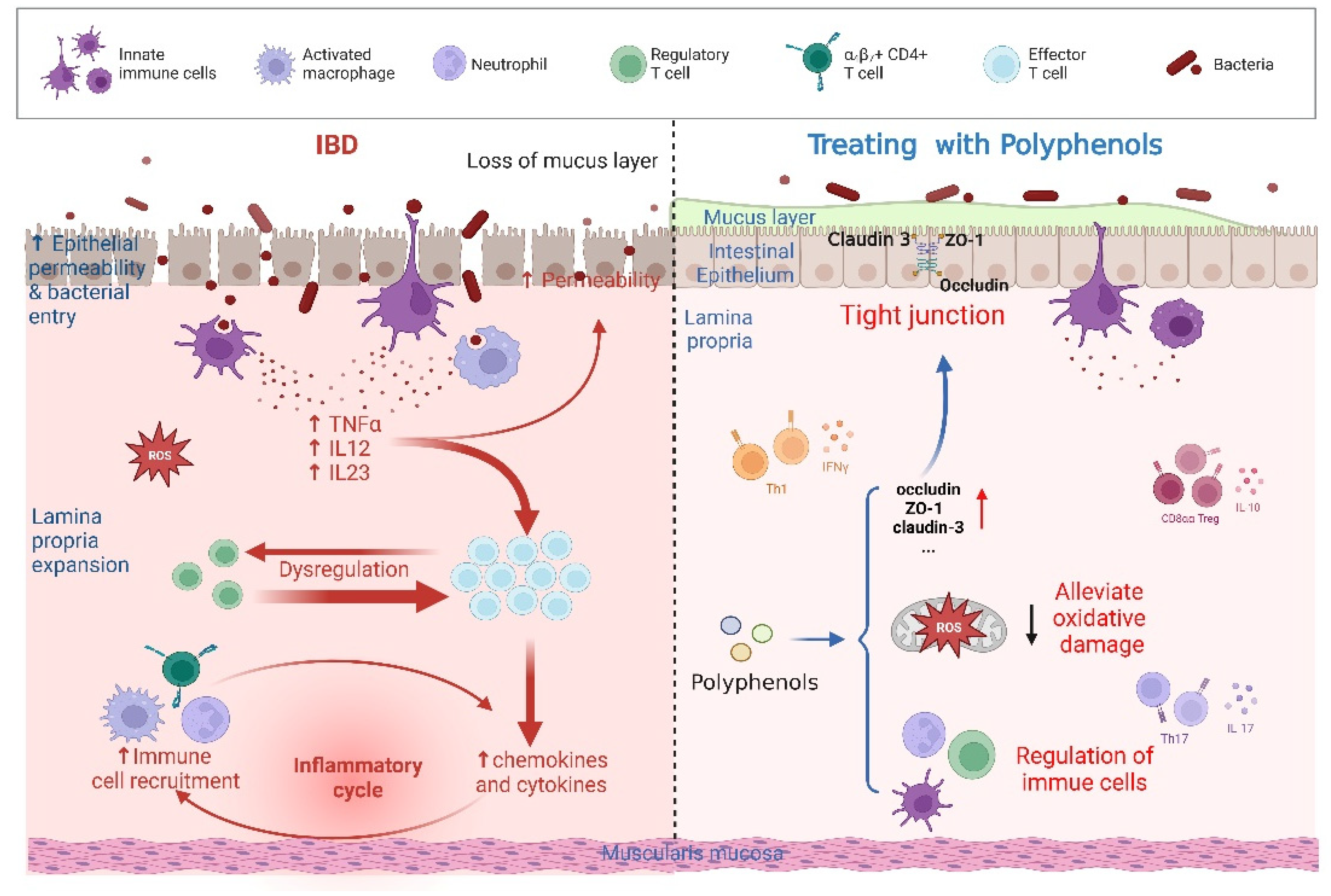 Antioxidants 12 00967 g003