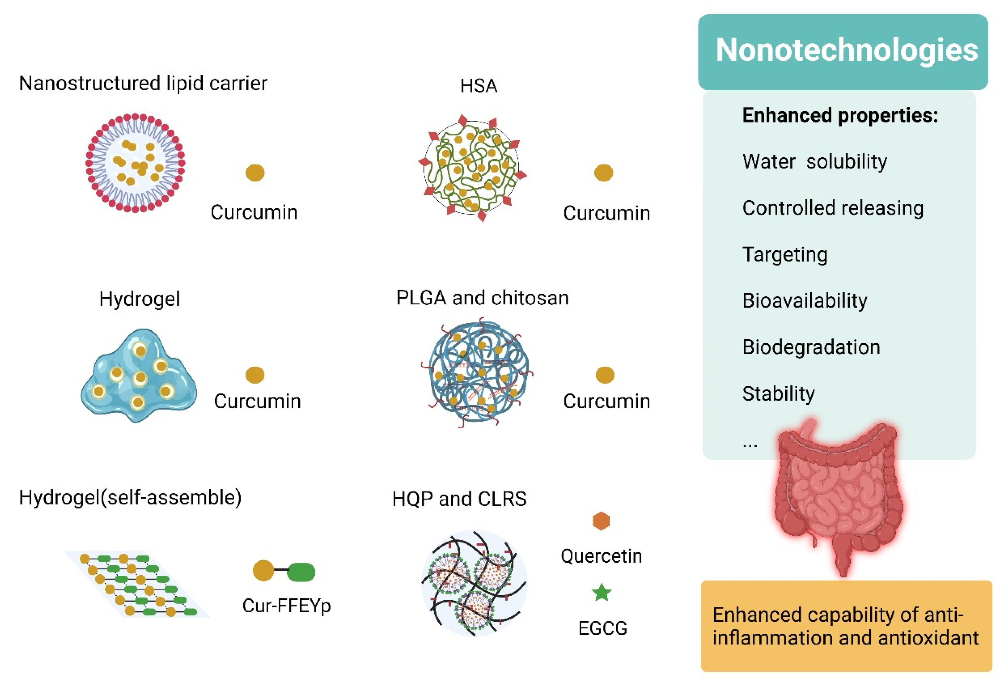 Antioxidants 12 00967 g006